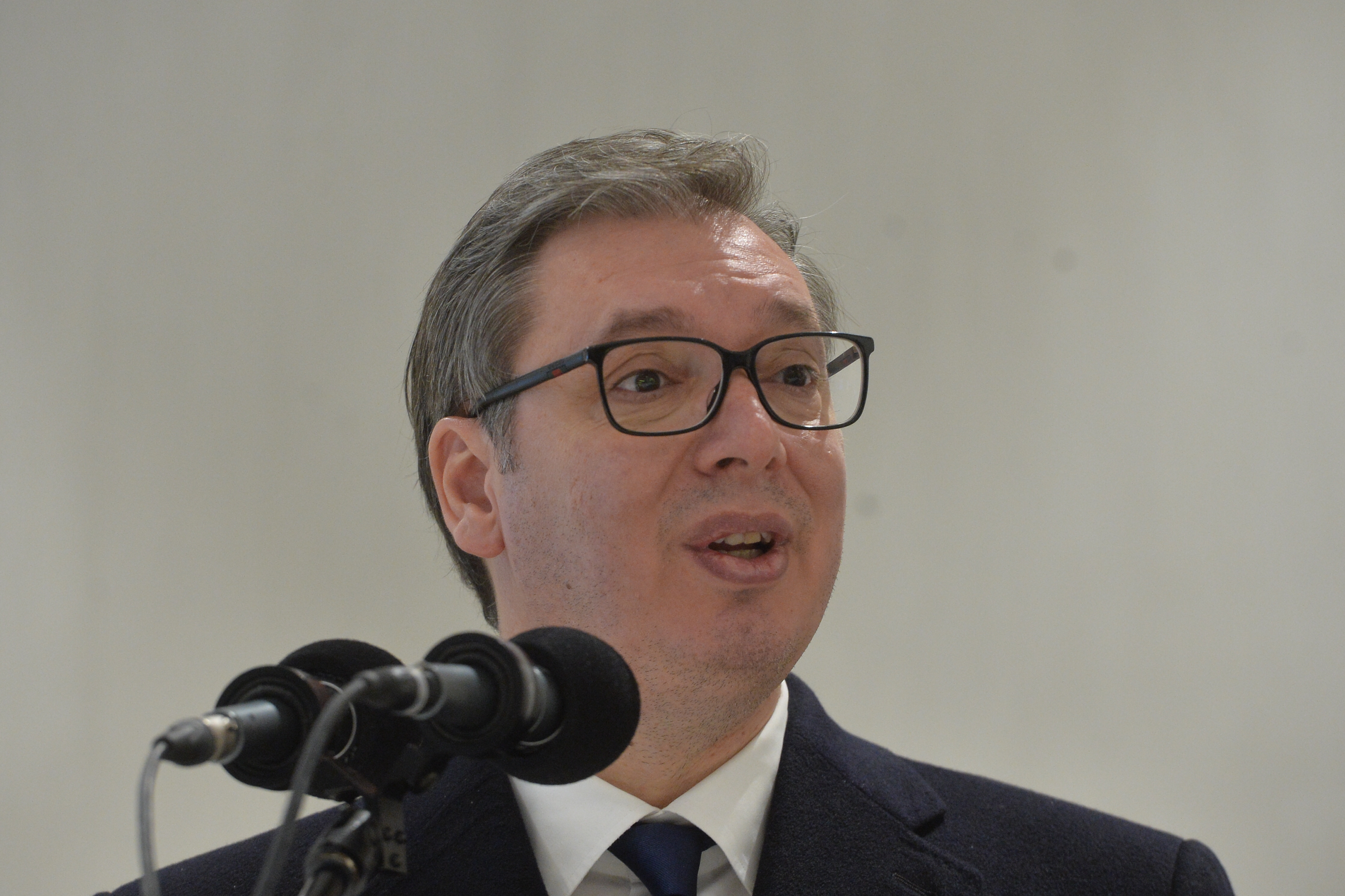 ALEKSANDAR VUCIC