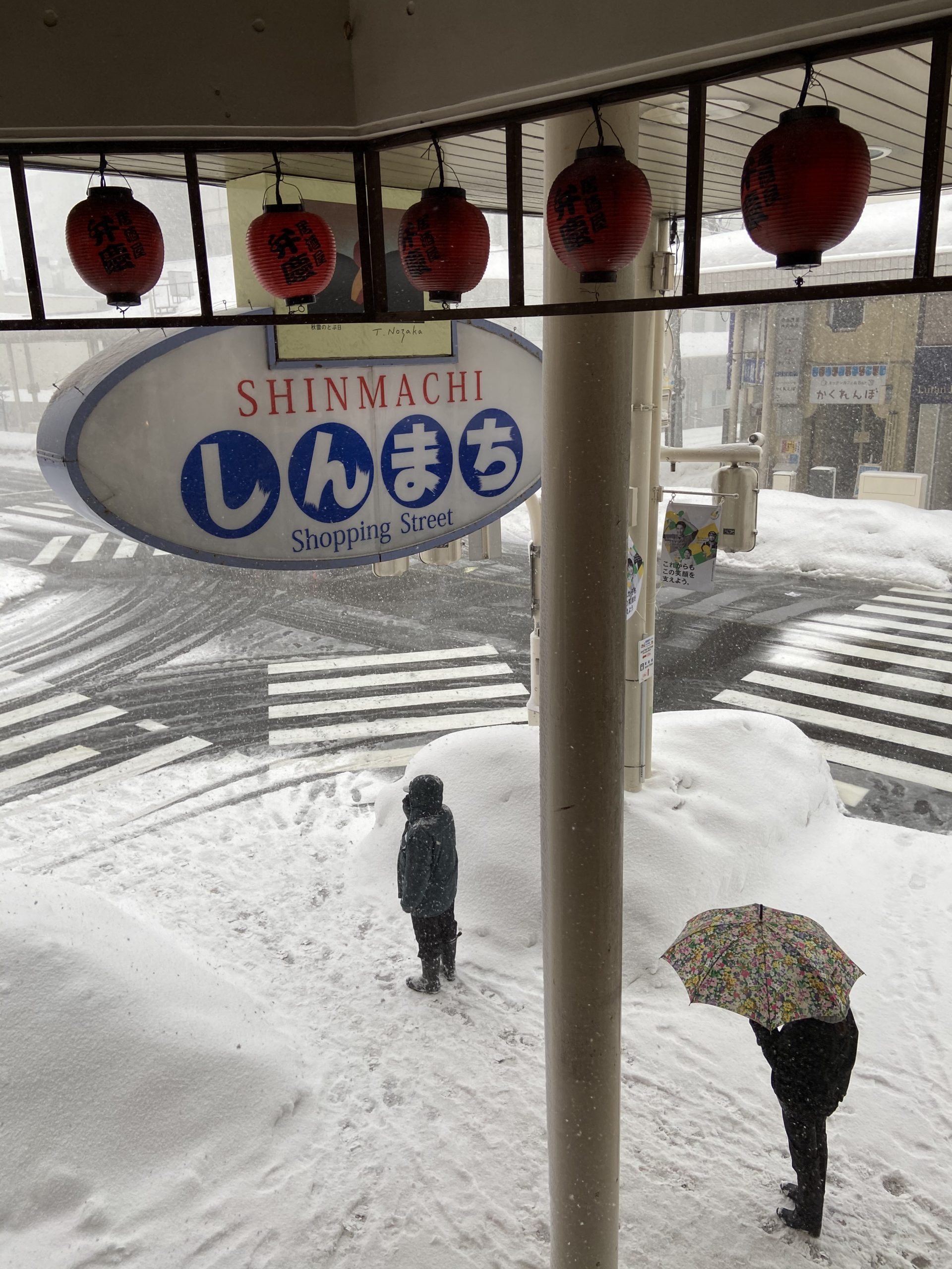 1639315253-japan-sneg-foto-privatna-arhiva-2-scaled.jpeg