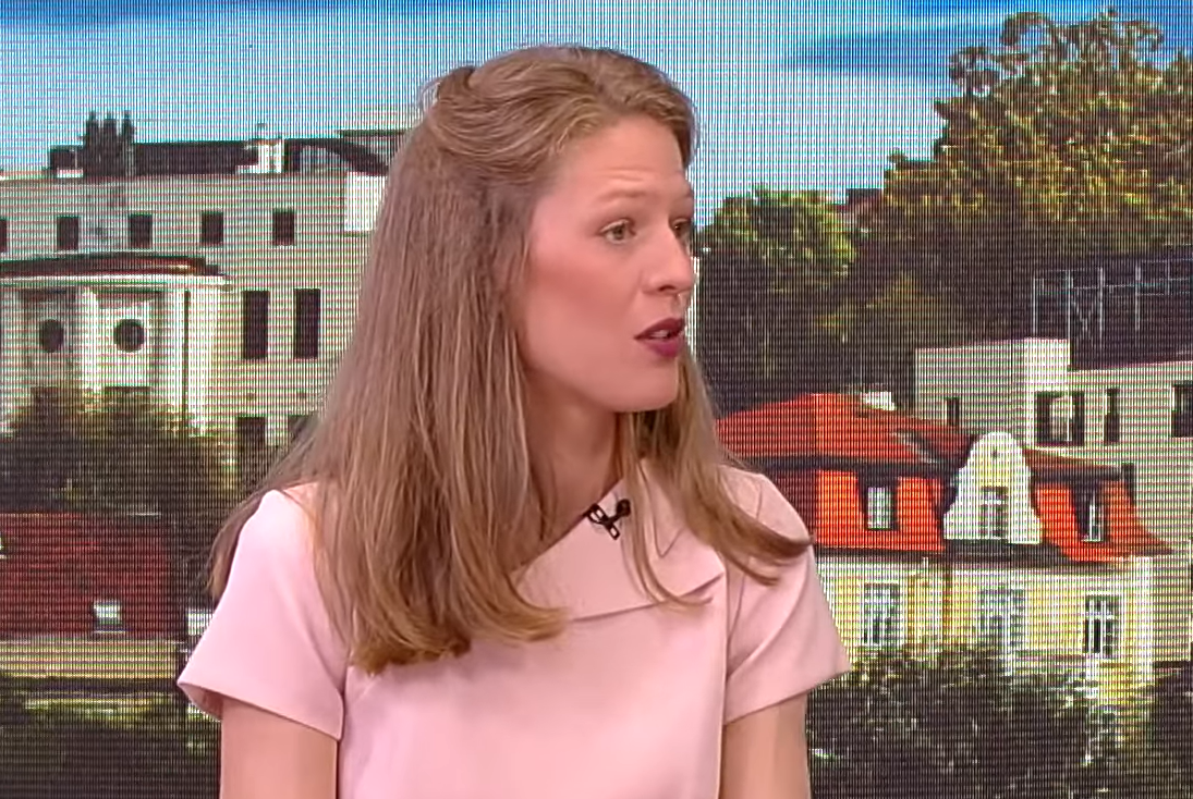 Danica Karađorđević, Printscreen/Nova S