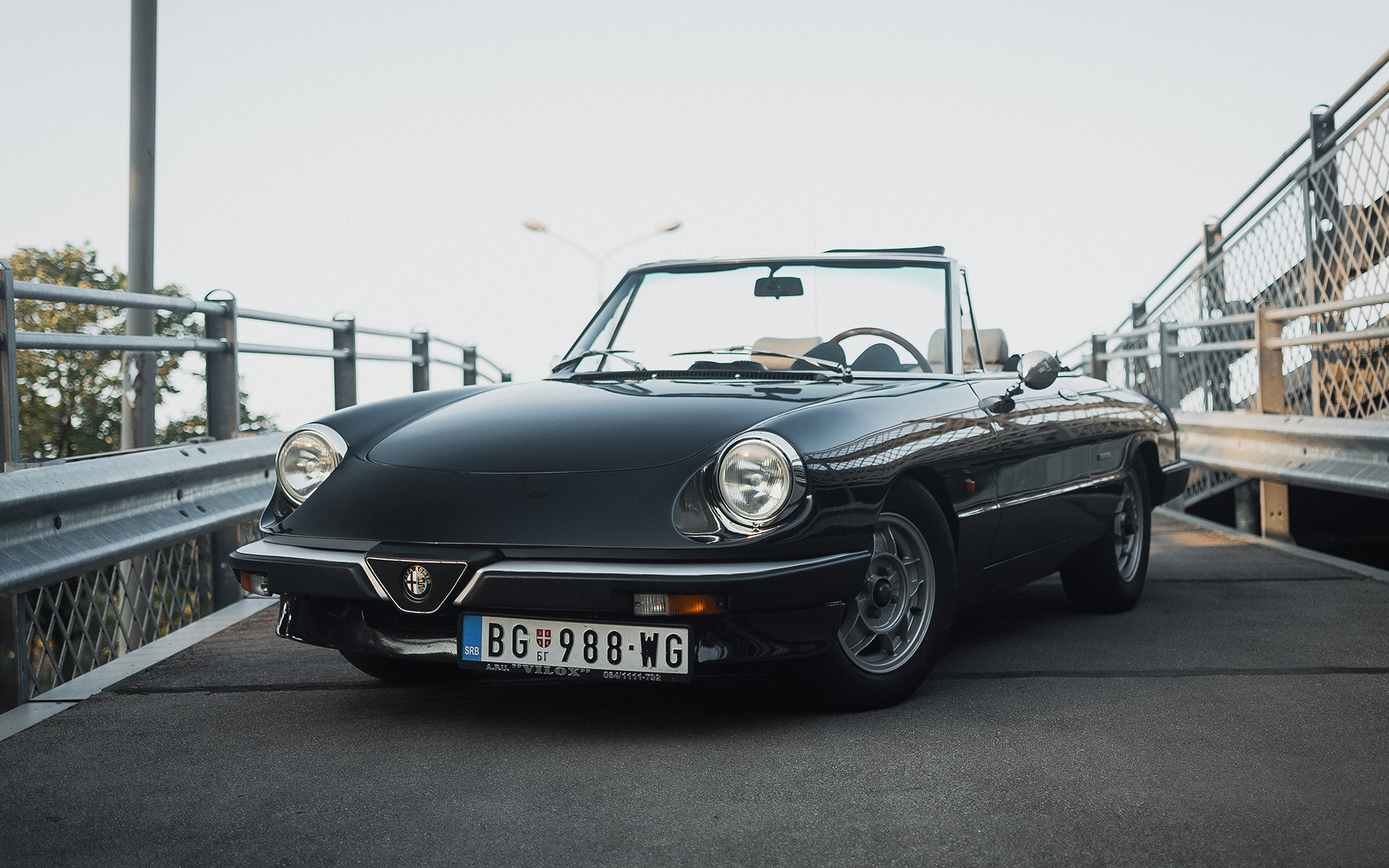 Alfa Romeo, kabriolet, oldtimer, oldtajmer, auto, automobil  Foto: Miloš Nikodijević