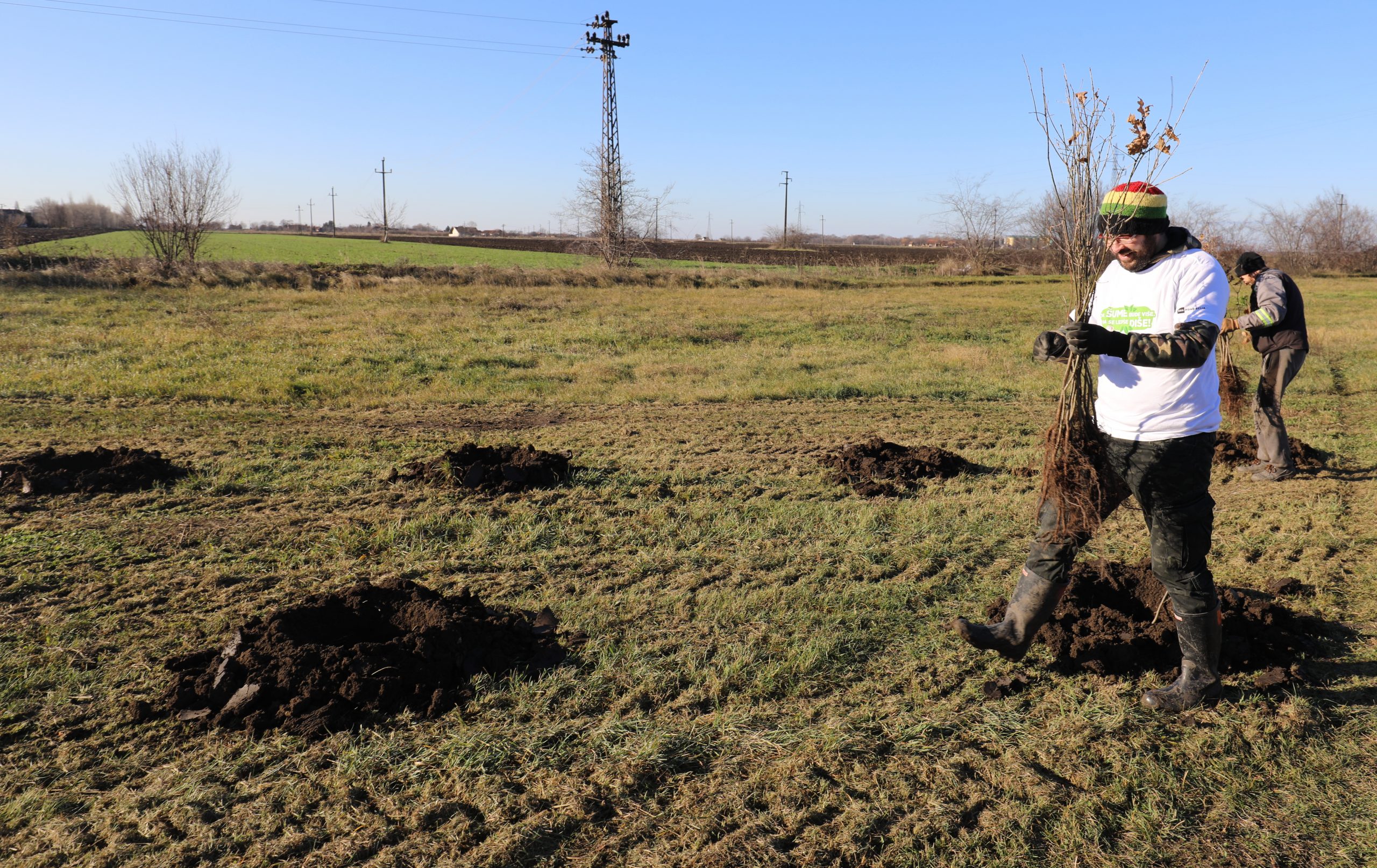 Kikinda, zasađeno, zasadjeno 1500 stabala, drveće Foto: SBB fondacija
