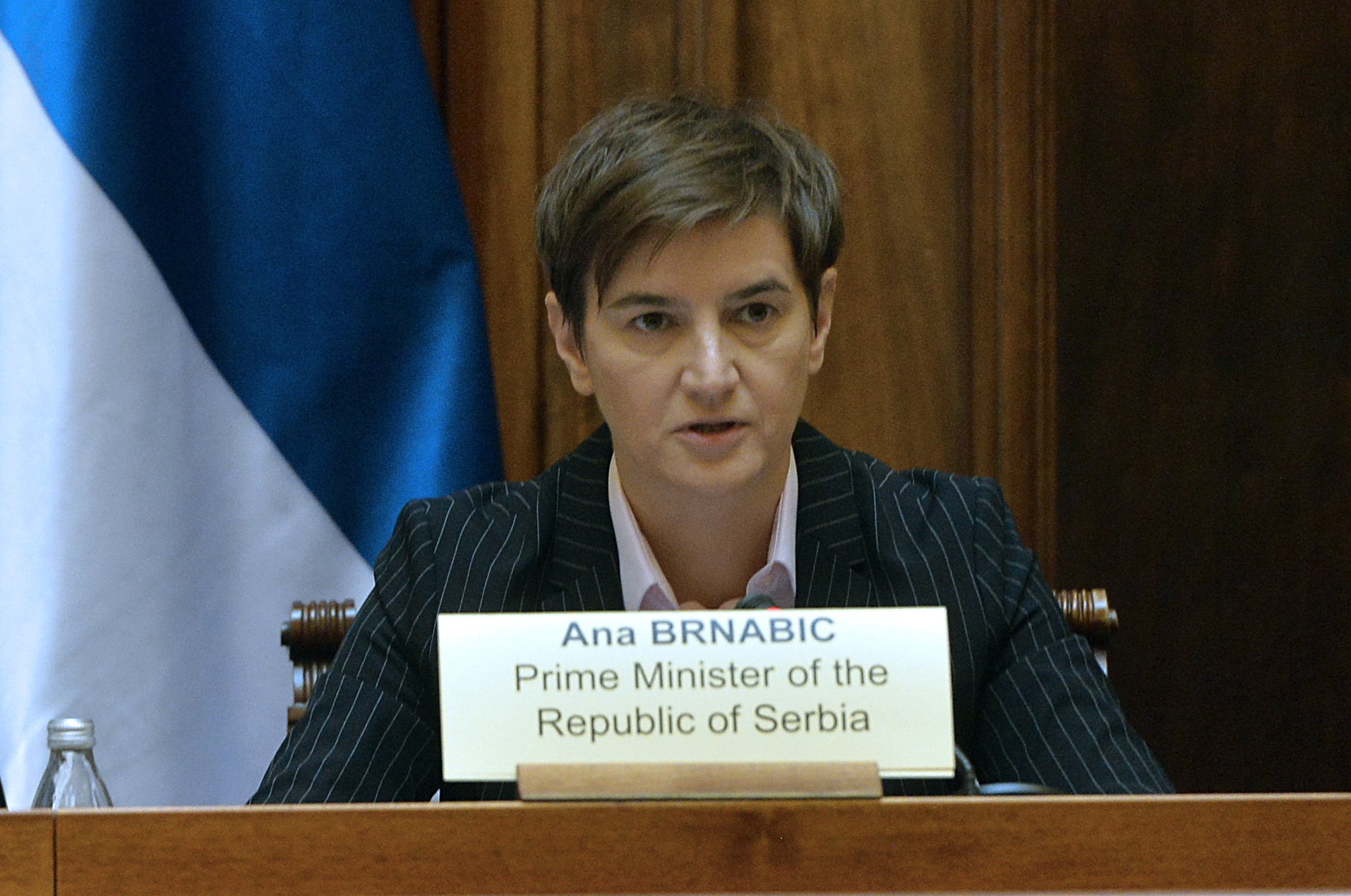ANA BRNABIC
