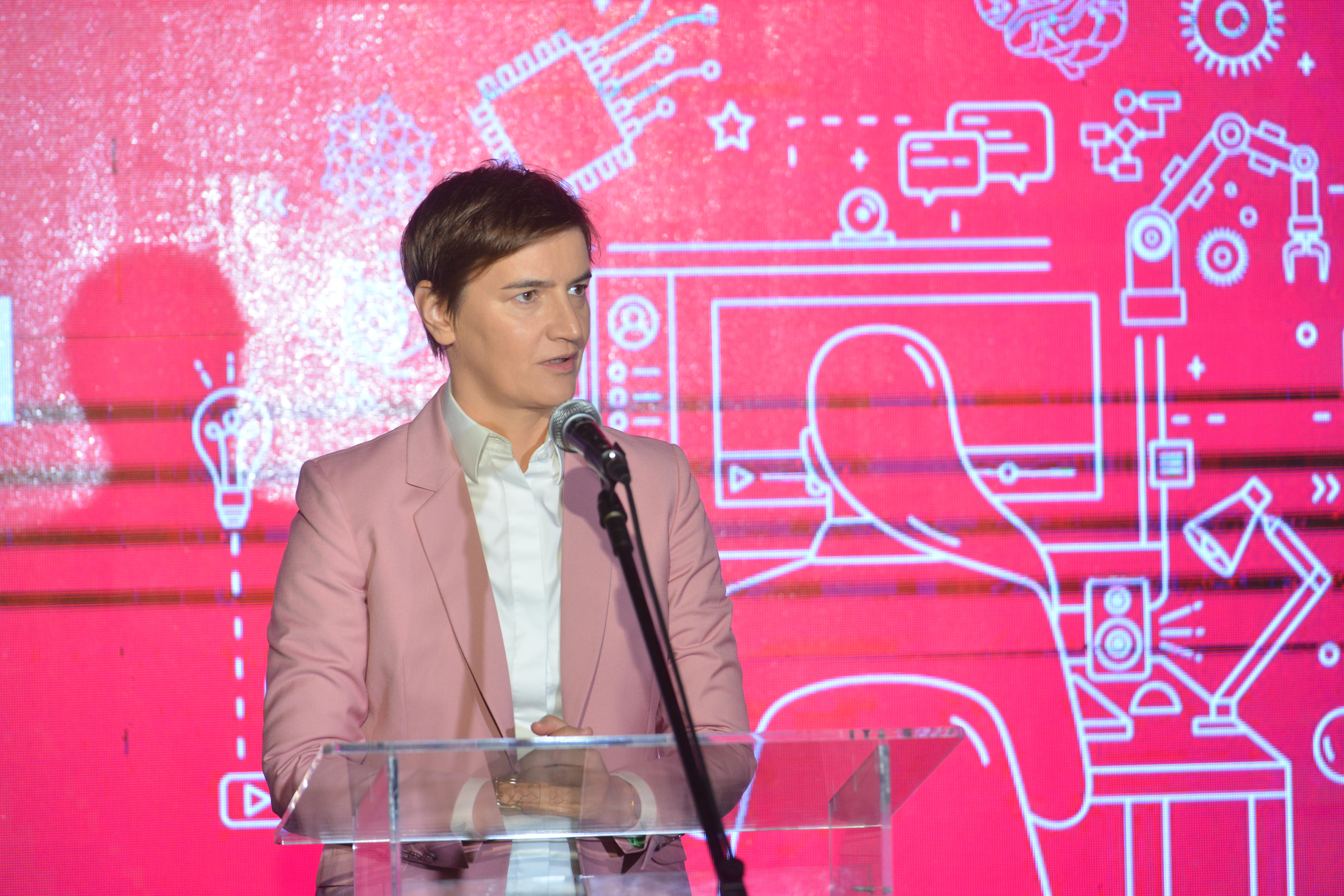 ANA BRNABIC