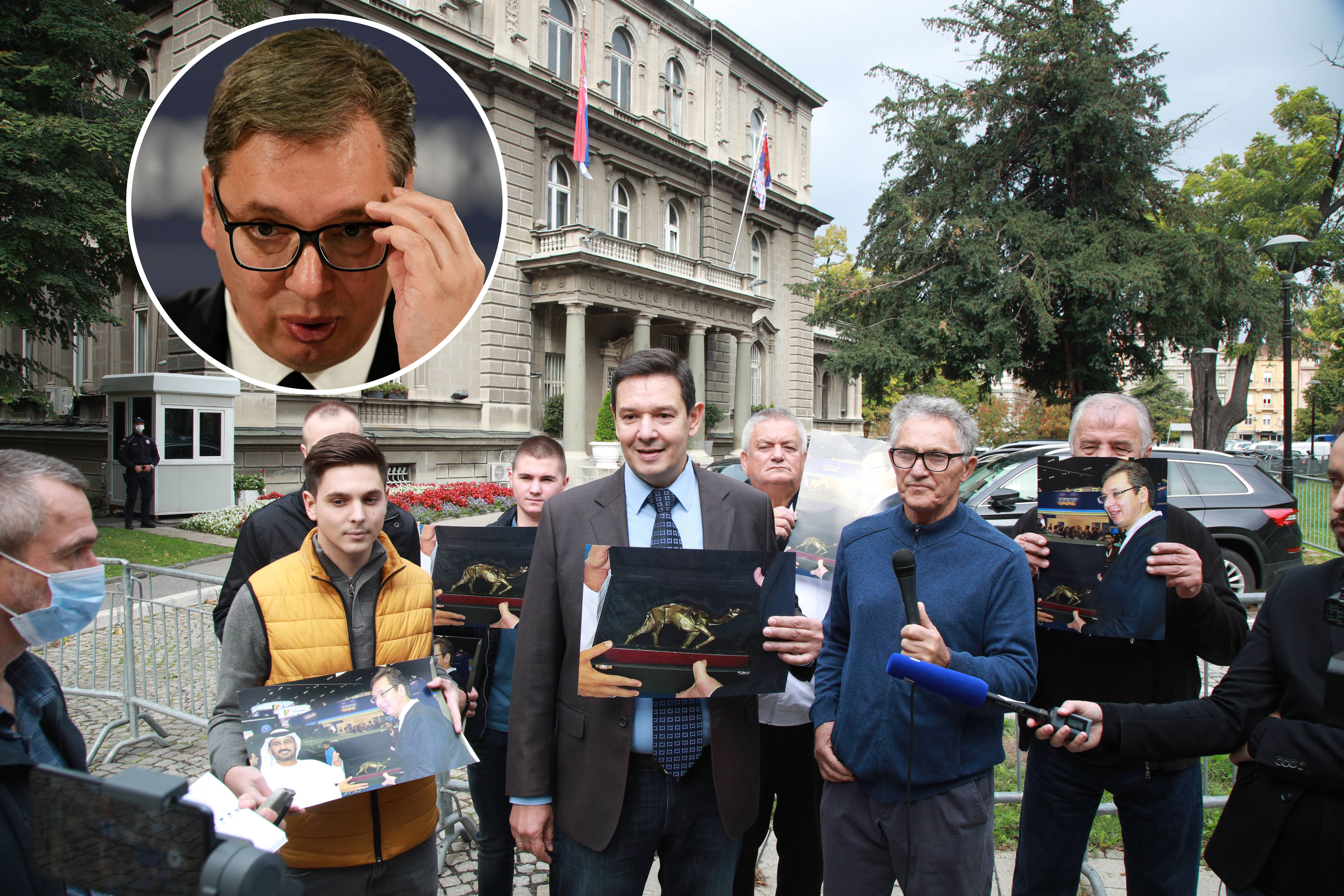 NEMANJA SAROVIC - KZN