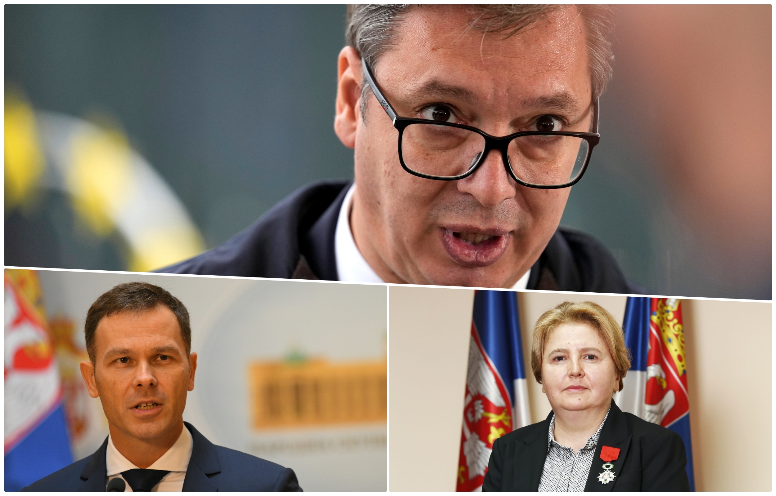 collage vucic dolovac mali
