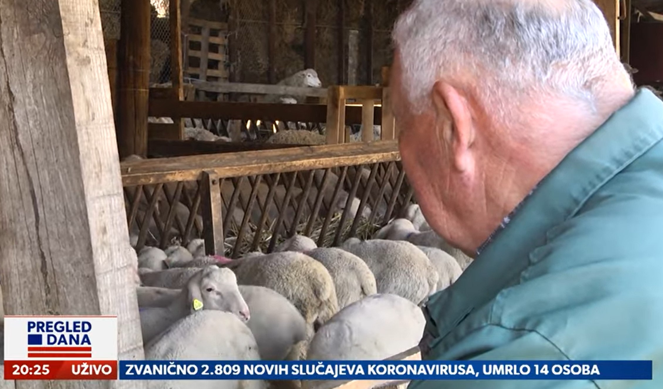 NewsmaxAdria
Poljoprivrednici nezadovoljni državnim subvencijama, pregled dana