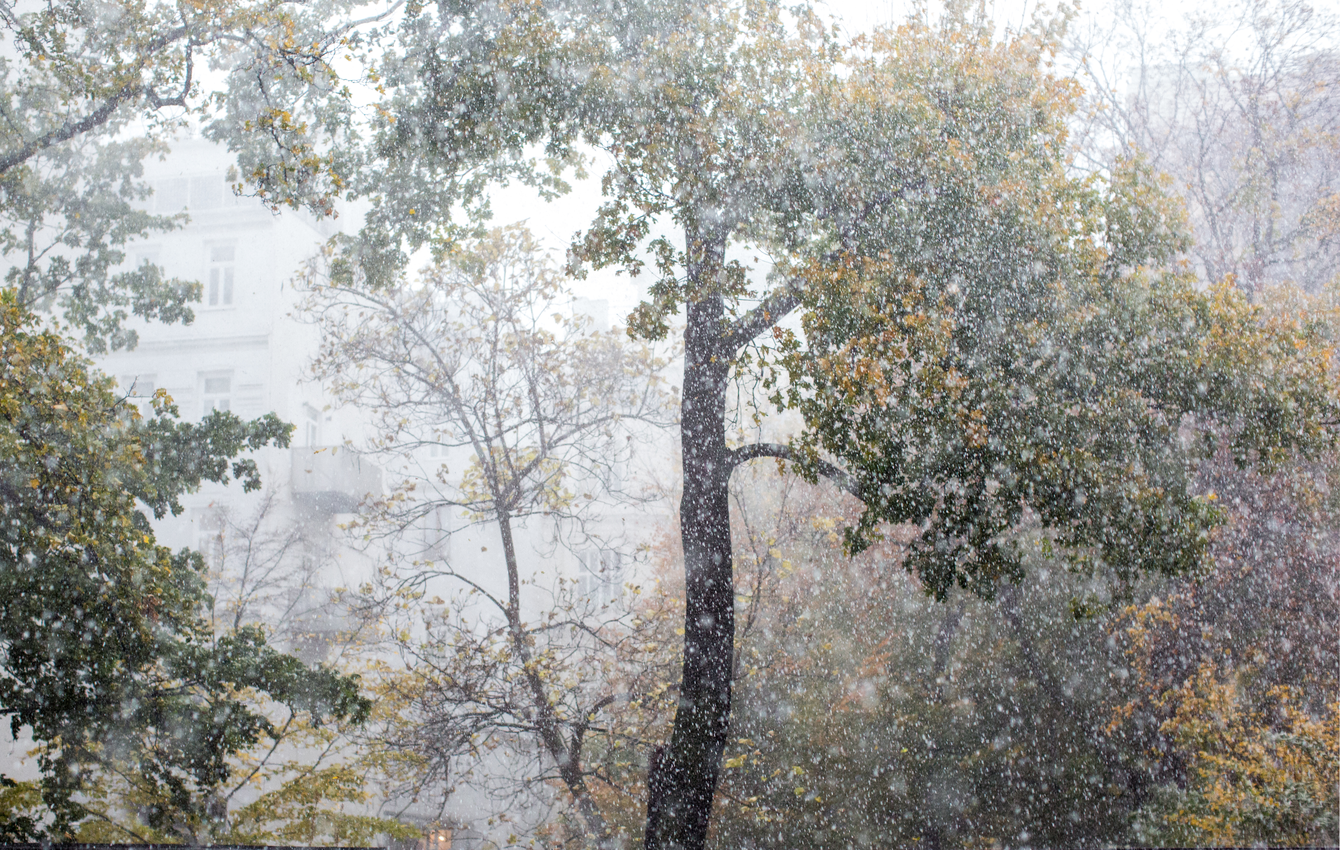 vreme kisa grad nevreme