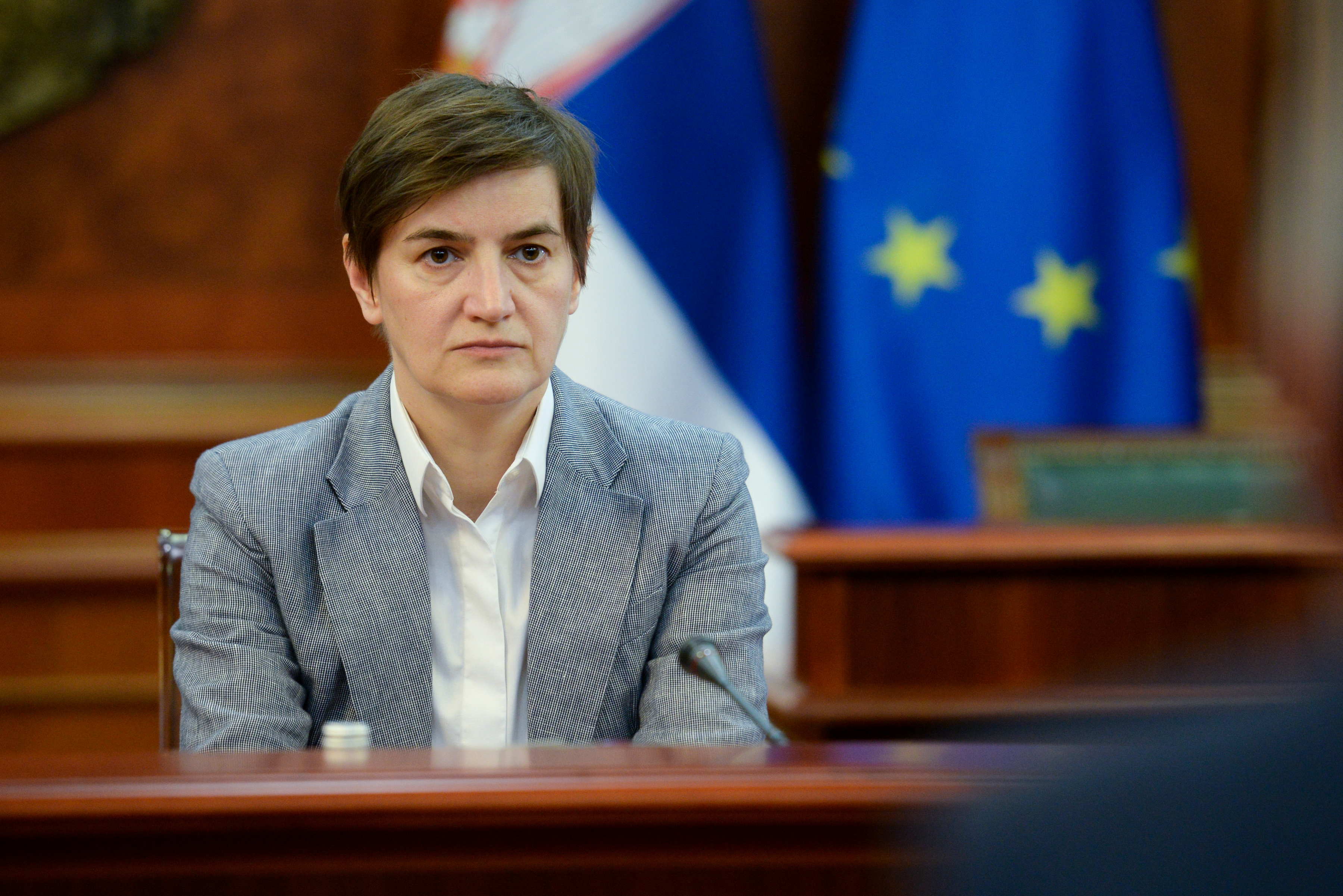 ANA BRNABIC