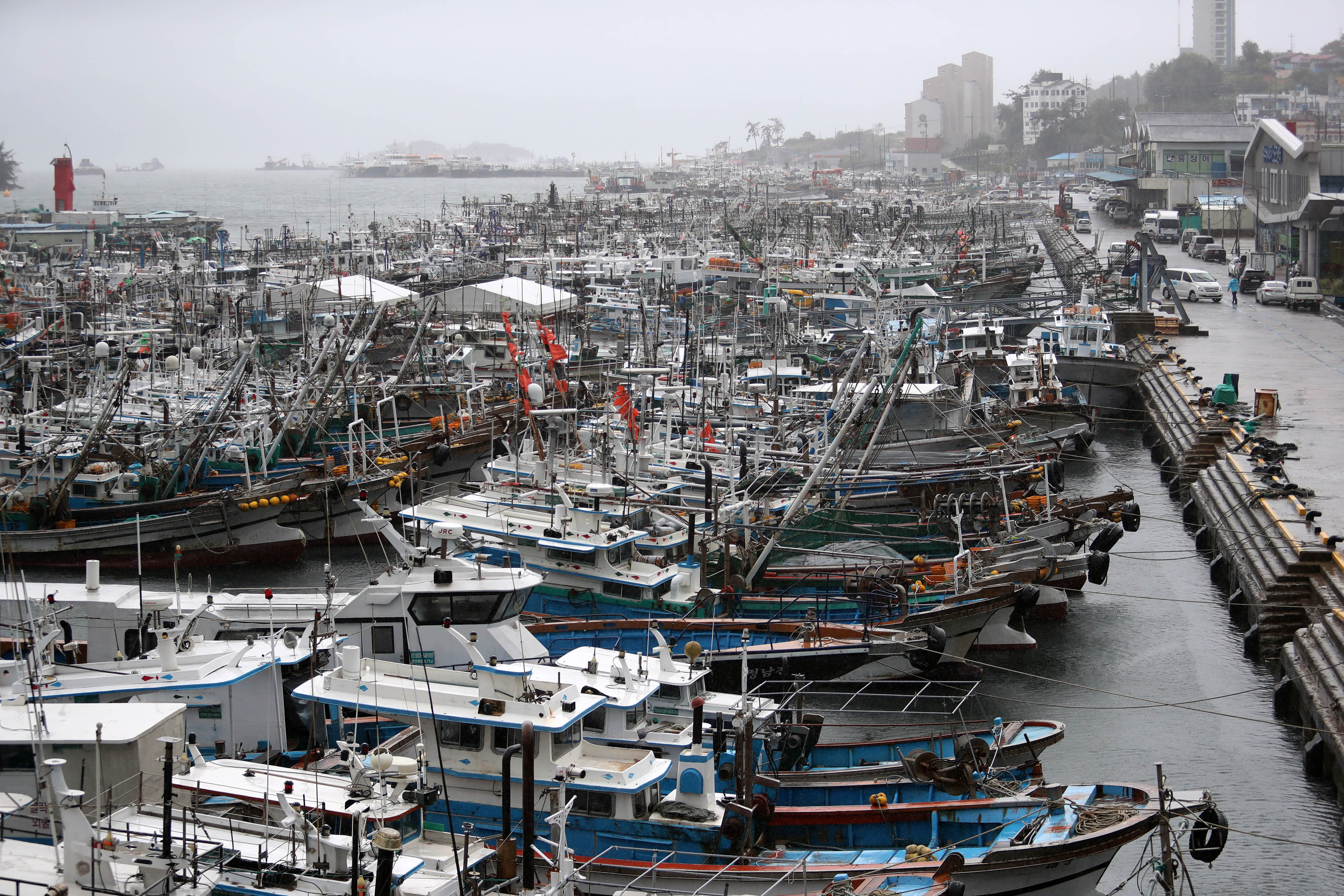 epa07860380 Fishing boats are docked at a port in Yeosu, South Korea, 22 September 2019, as Typhoon Tapah approaches the country.  EPA-EFE/YONHAP SOUTH KOREA OUT