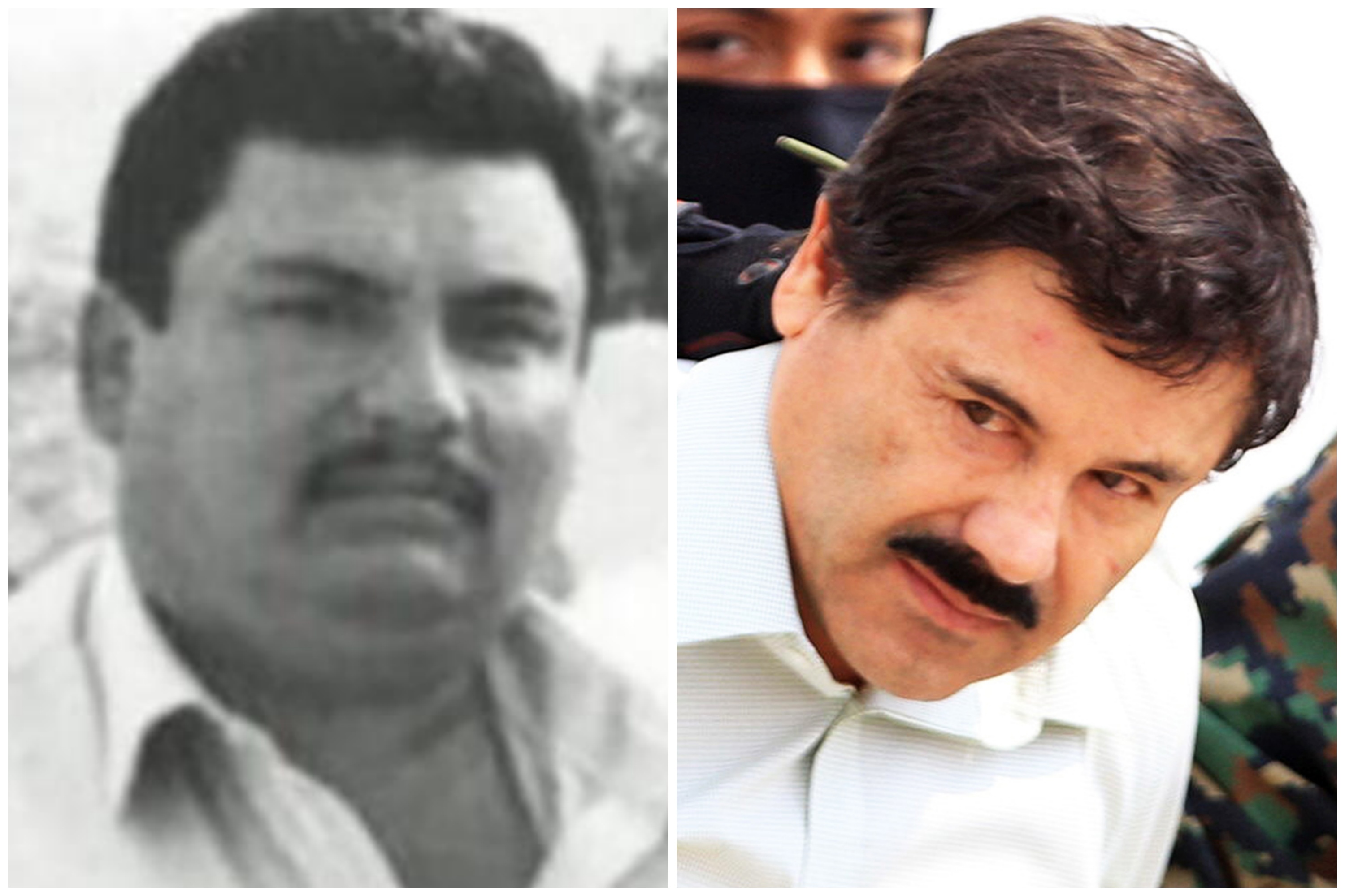 el capo i brat kombo