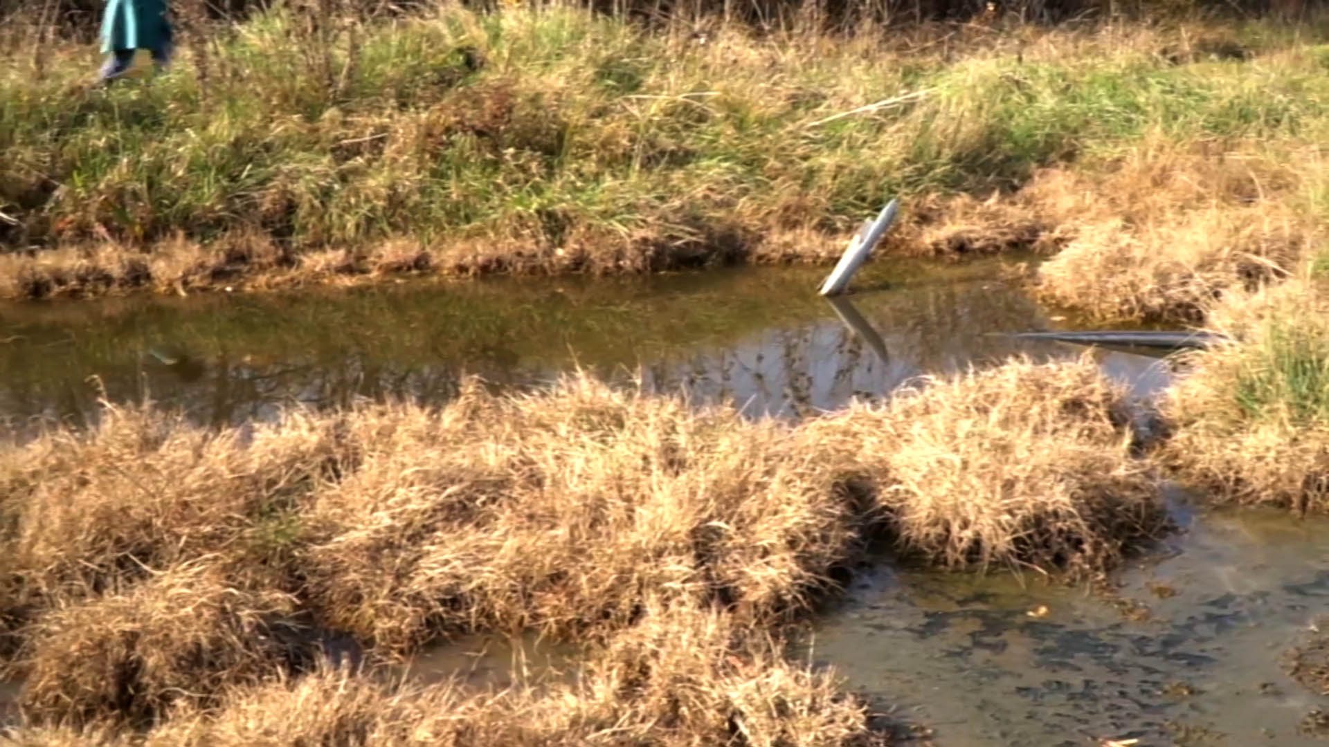 Zatrovana voda u bunarima, meštani krive bušotine za istraživanje litijuma Bušotina broj 4 u selu Šušeoka Kolubara zagadjenje