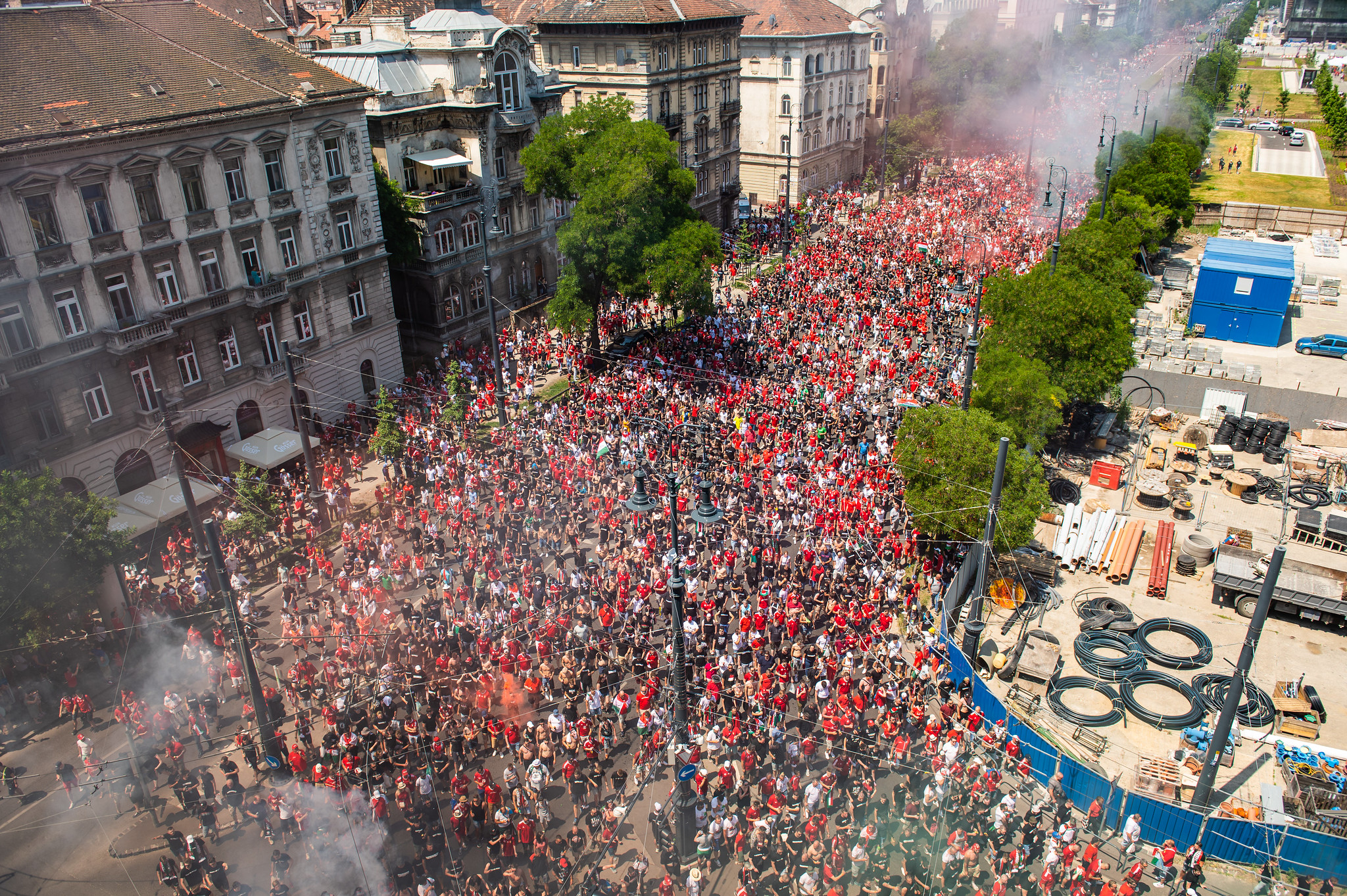 51256853436_fece99f2c1_k