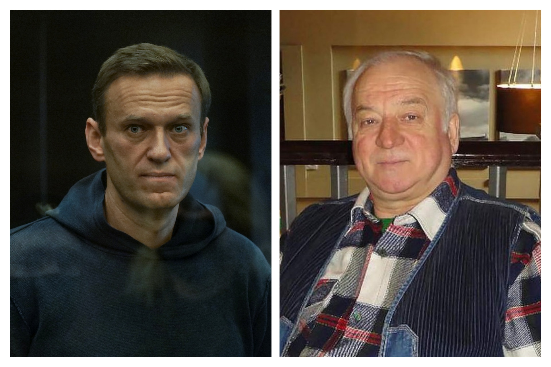 aleksej navaljni sergej skripalj