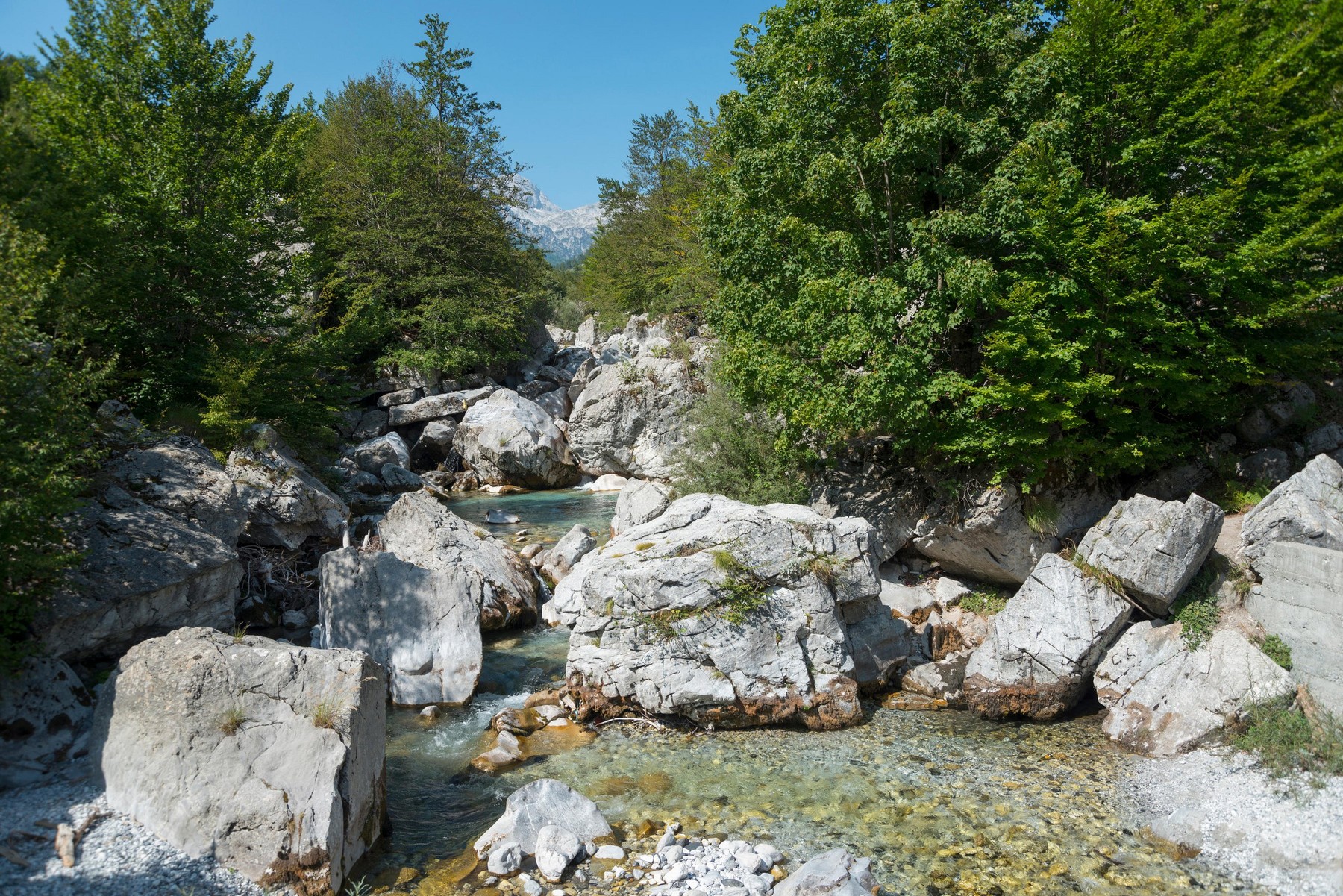 Image: 385913278, License: Rights-managed, Restrictions: , Model Release: no, Credit line: McPhoto/Scholz / Alamy / Alamy / Profimedia