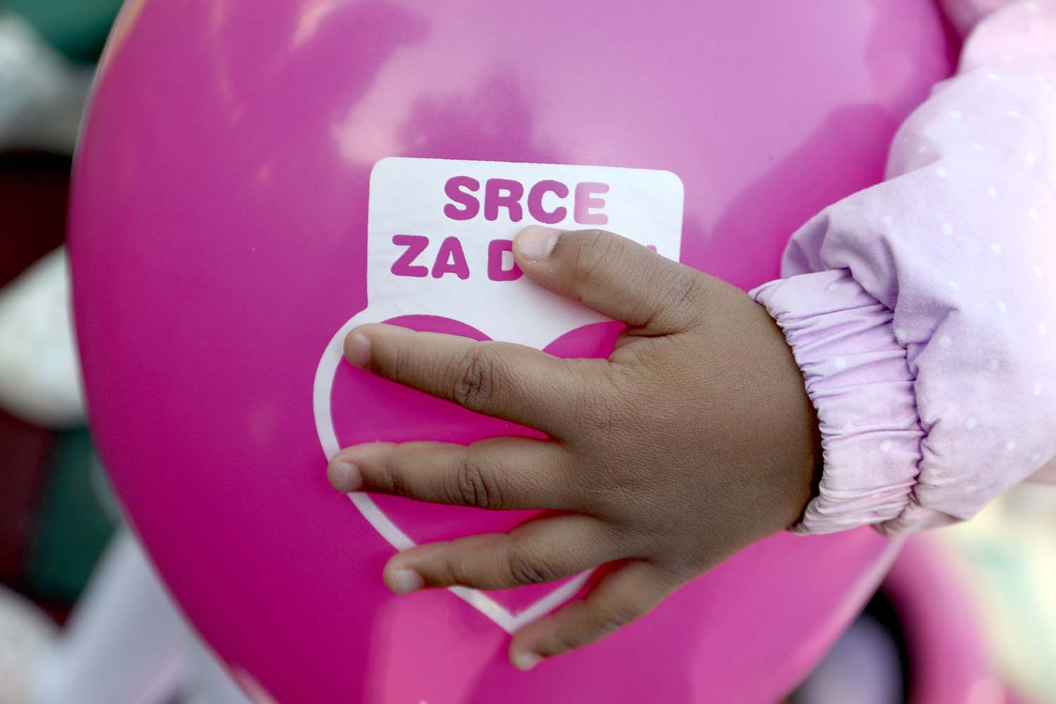 foto RAS Zoran Ilic (5)