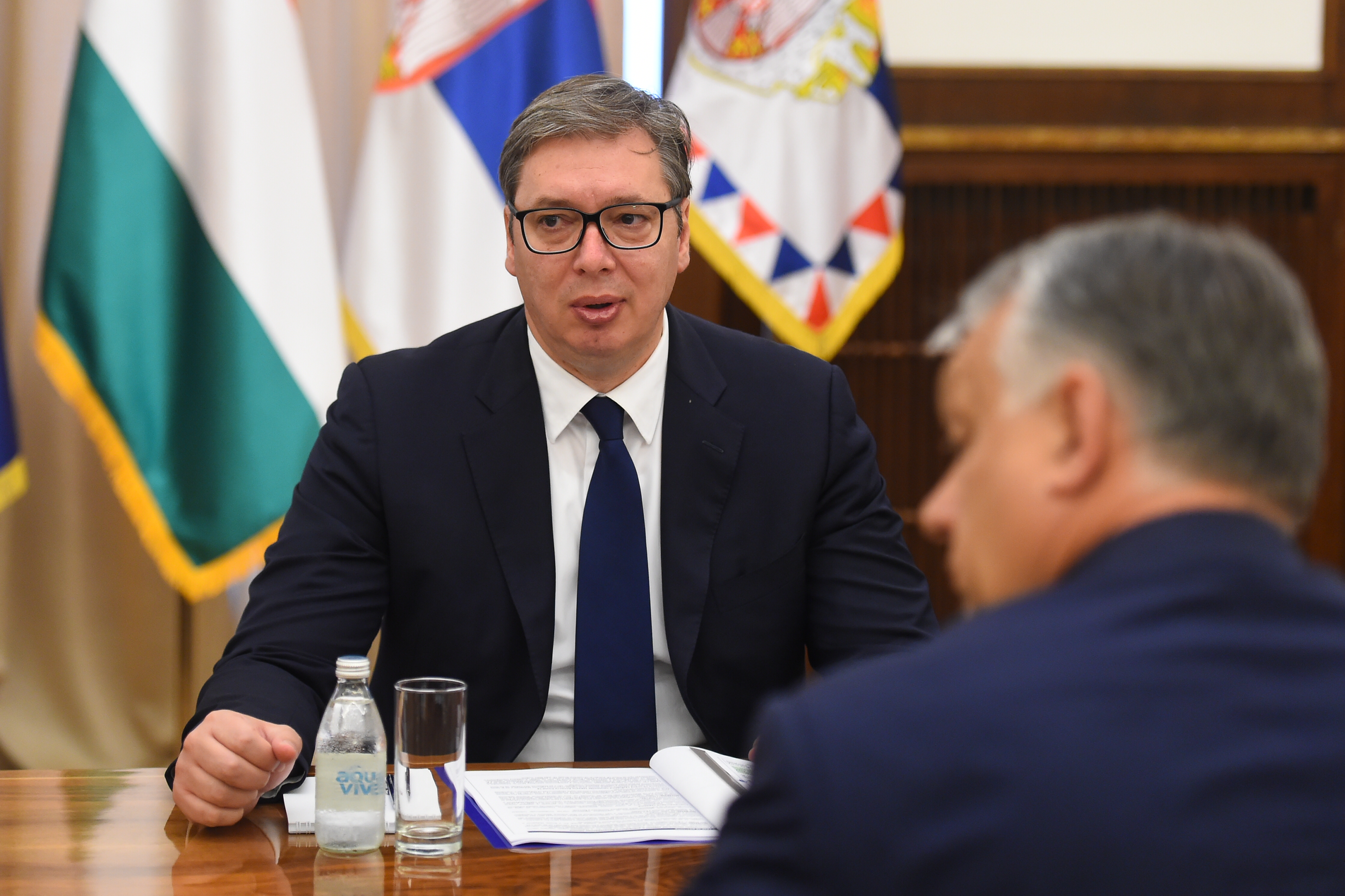 ALEKSANDAR VUCIC, VIKTOR ORBAN