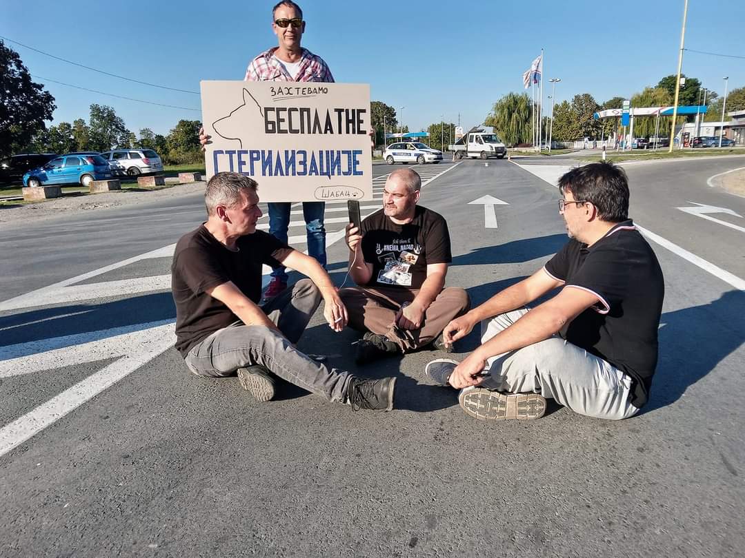 protest Ibarska