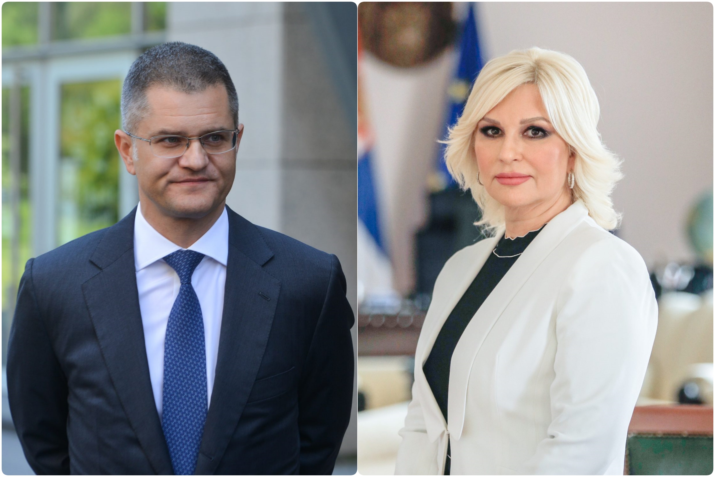vuk vs zorana