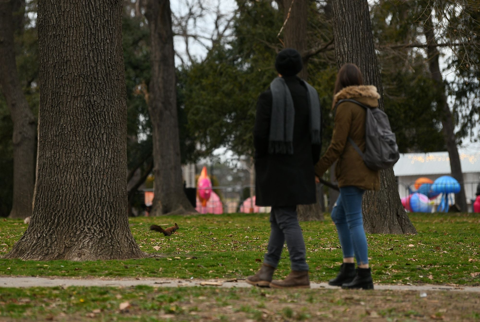 Hladan i oblačan dan Foto: Filip Krainčanić/Nova.rs