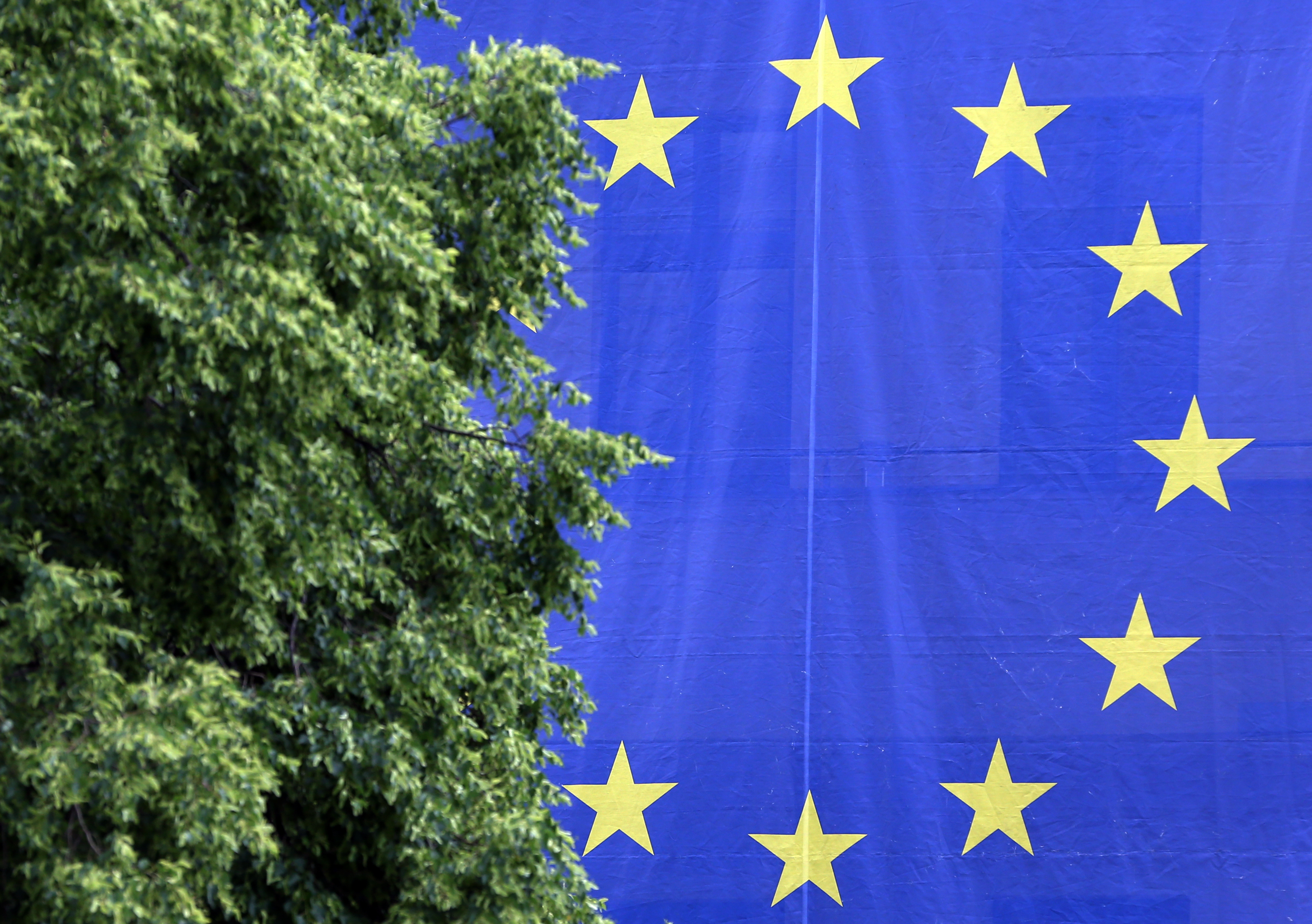 Reactions to European Parliament election in Germany