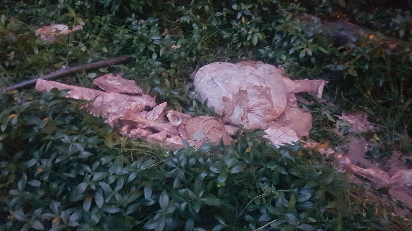 IMG-652d86a7aea4285f430a57cbb7bedb04-V