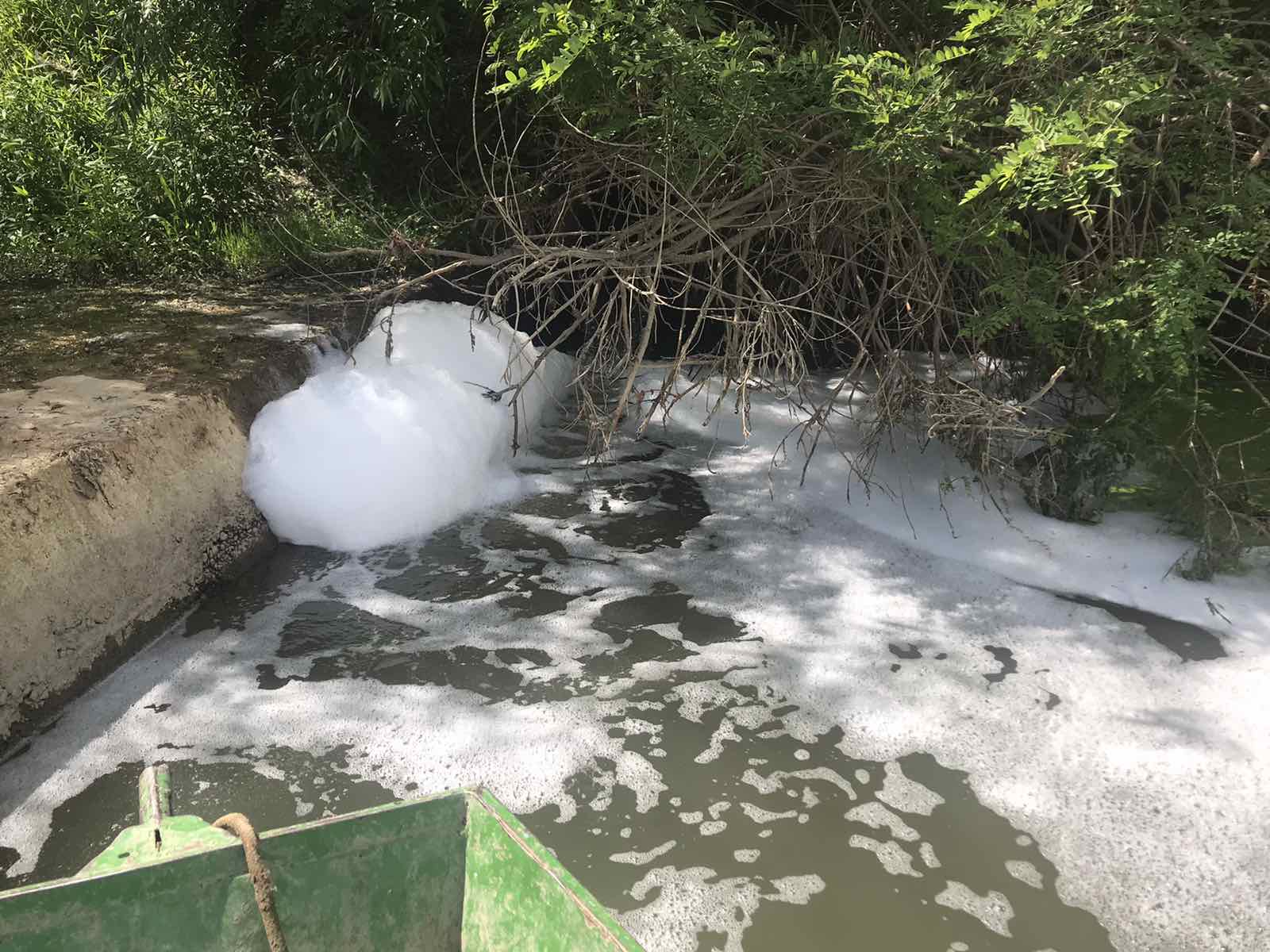 I DALJE NEMA ODGOVORA KO JE KRIVAC ZA POMOR RIBE U CERSKOM OBODNOM KANALU U ŠAPCU, sabac, cerski obodni kanal