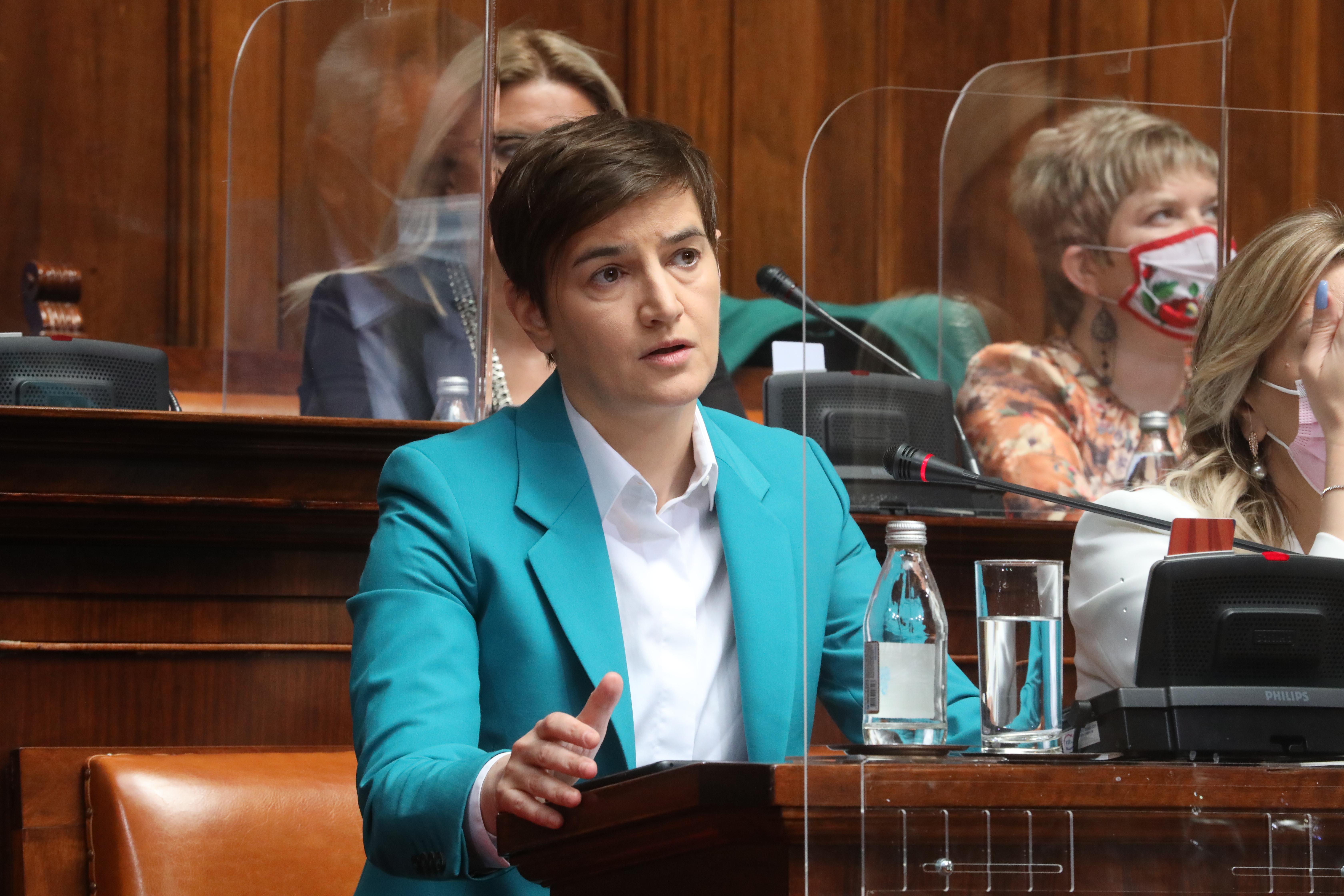 ANA BRNABIC