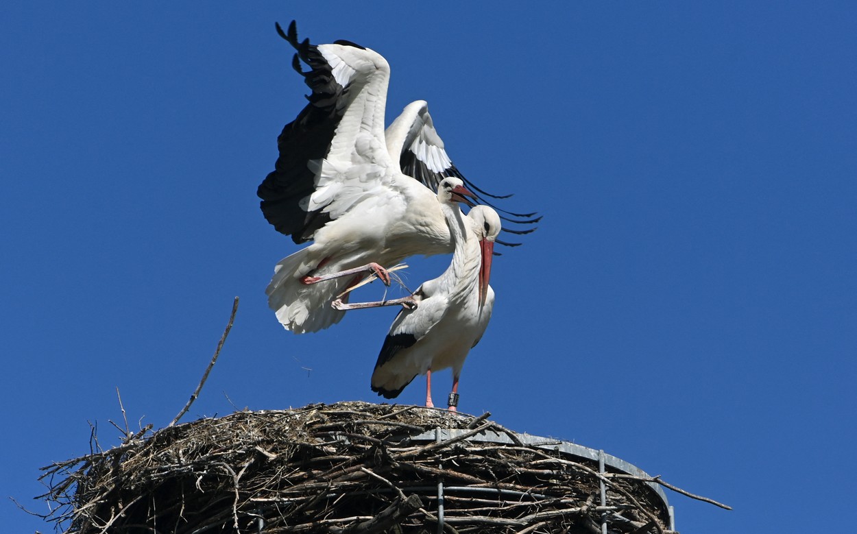 profimedia-0604792613