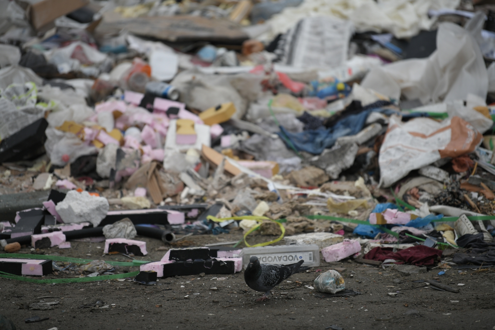 Beograd, 18.12.2020. Pančevački most i ispod mosta, smeće, karton naselje, deponija, Romi, Romsko naselje Foto: Dragan Mujan/Nova.rs
