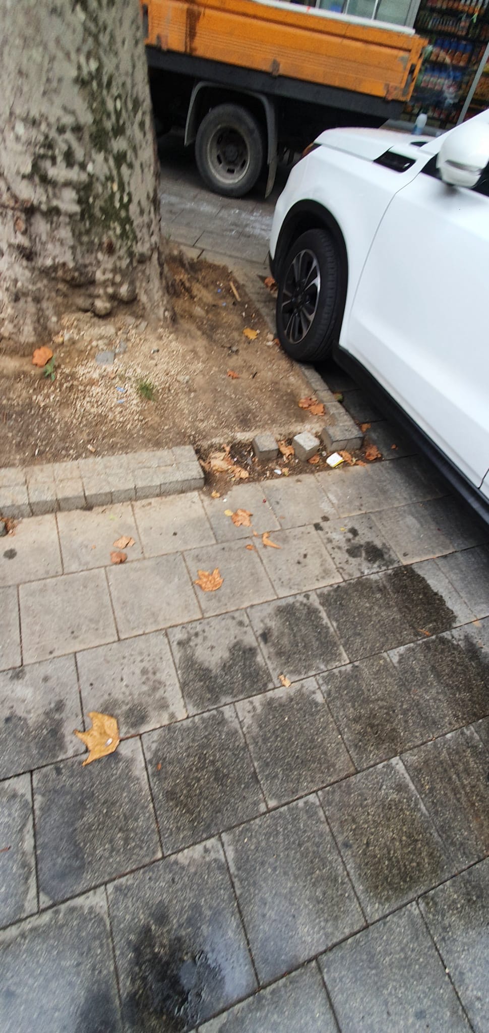 b0a24ecc-9e75-4b2e-a910-e3b3e5e1ba59 (1)