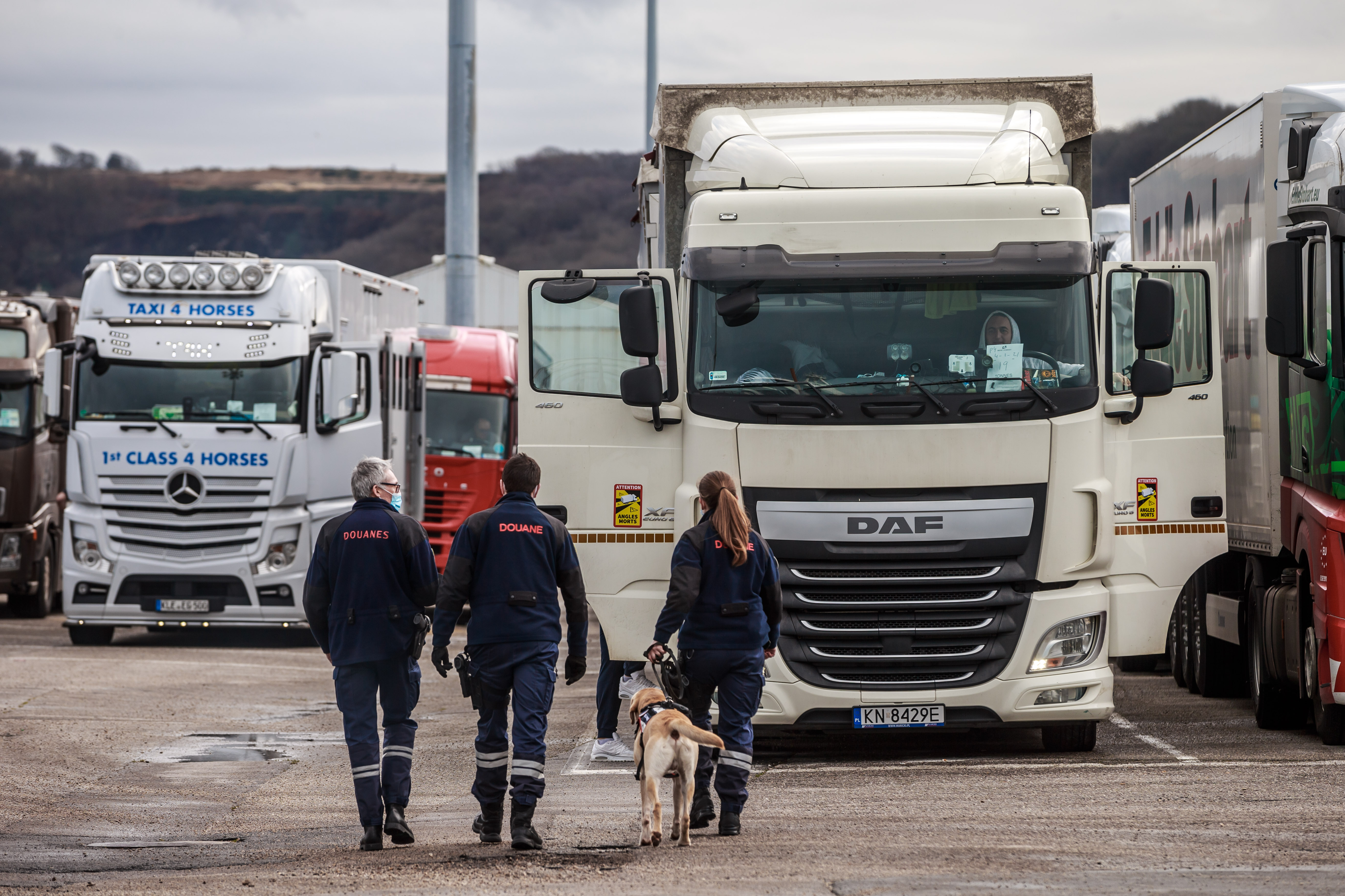 Brexit, Maritime transport at the Port of Cherbourg in Normandy