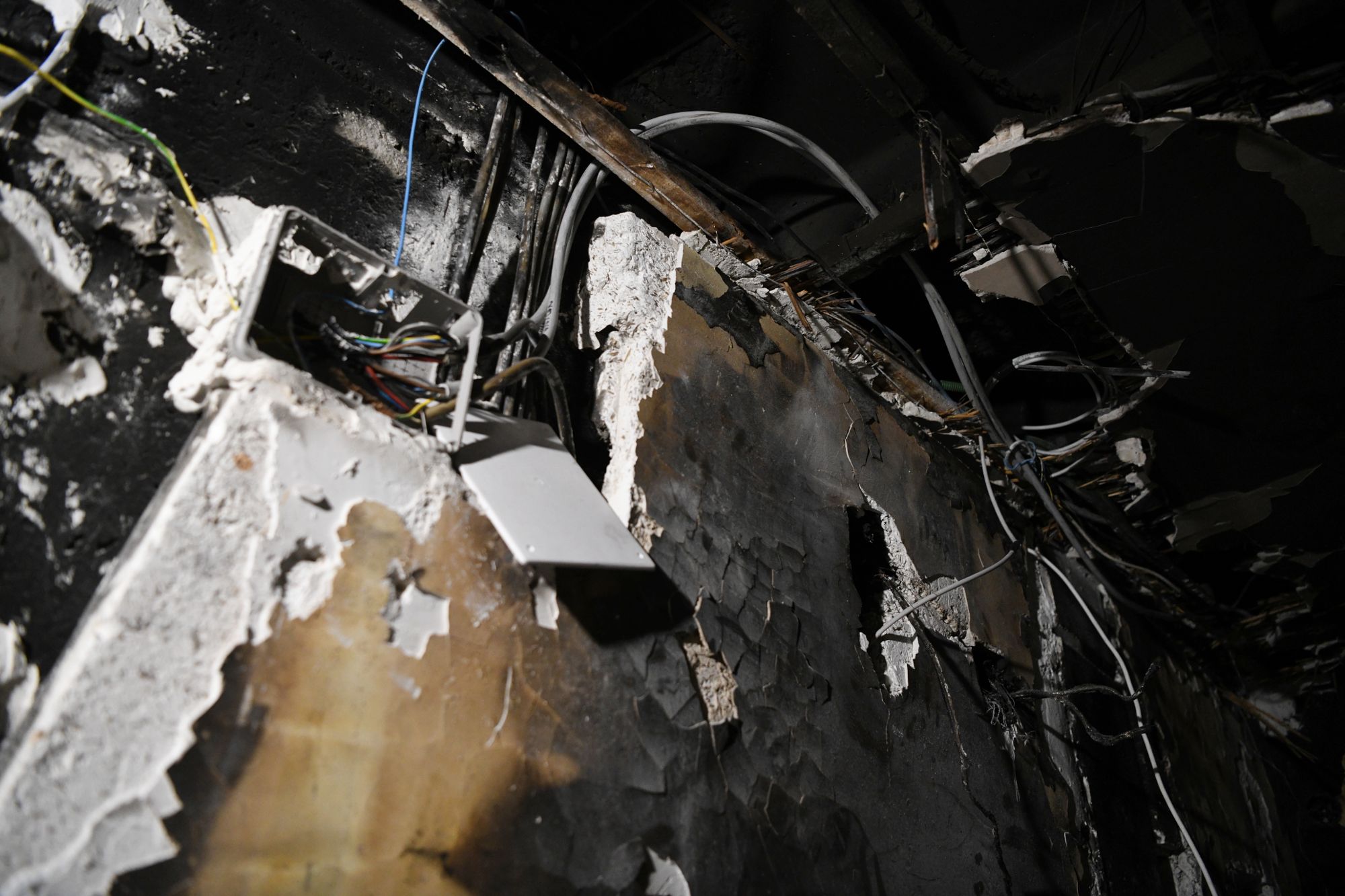 Anja Stojanović, požar novi beograd hronika