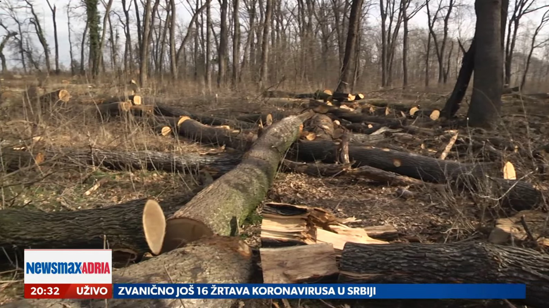 Zasto gradjani provode dane i noci u sumi kod Backe Palanke