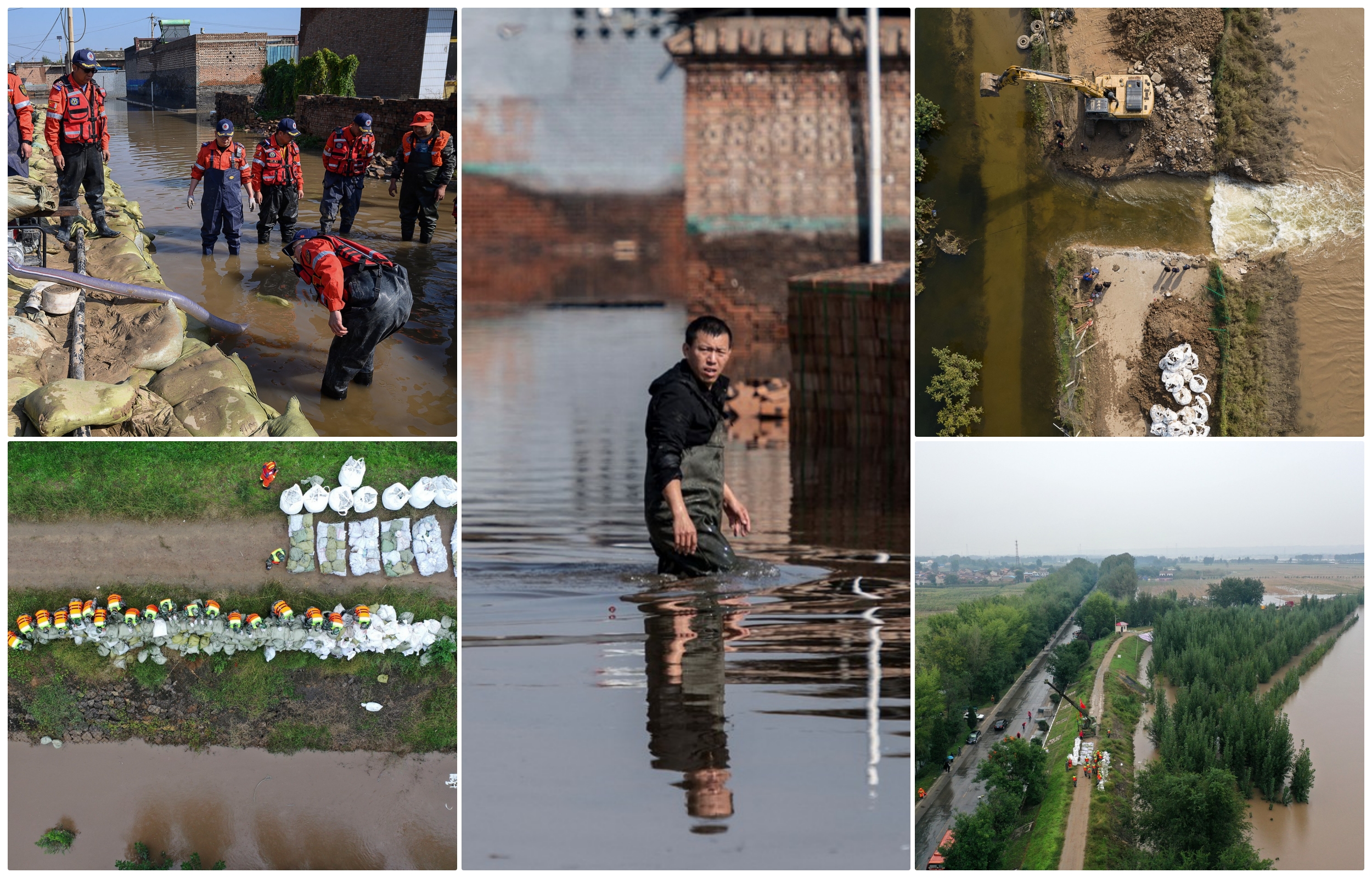 collage kina polave