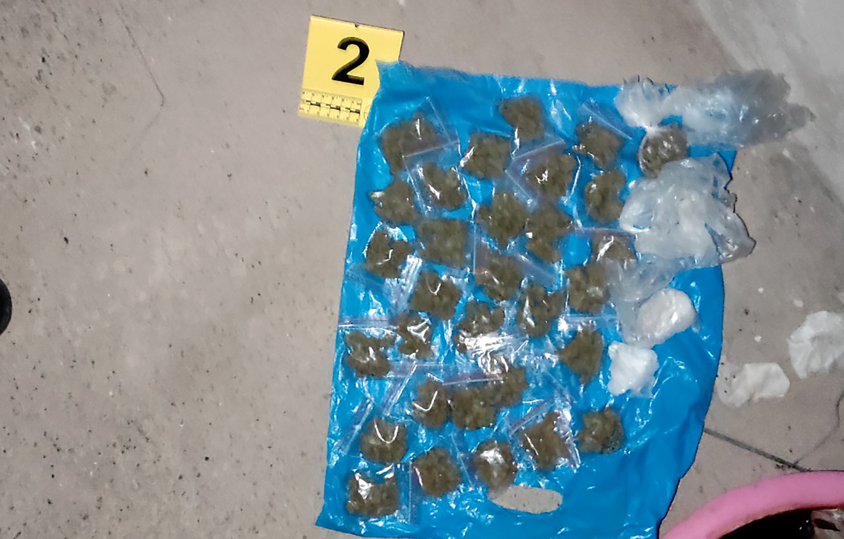 Droga, marihuana, trava, kanabis, kokain Foto: MUP