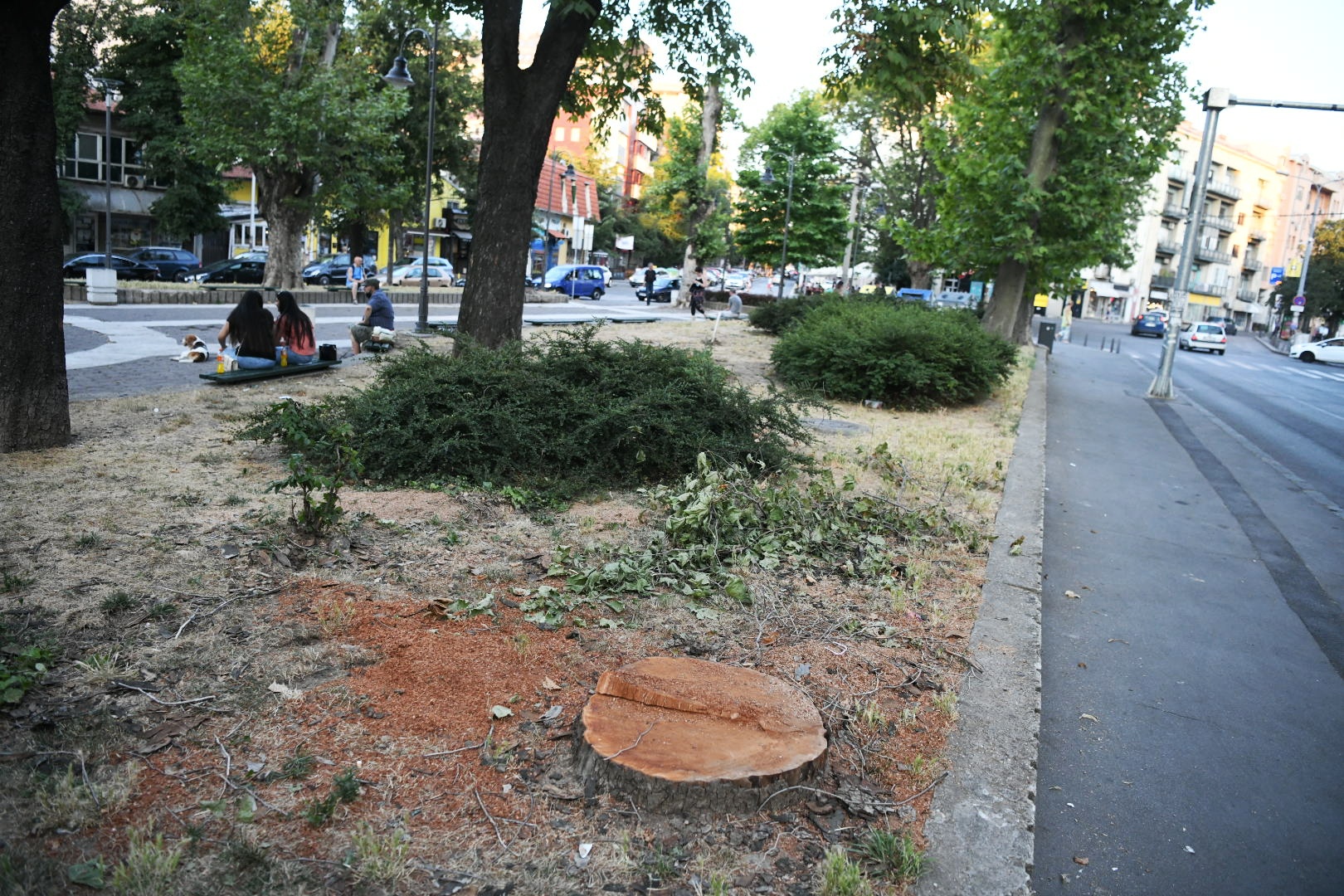 Park Vojvode Bojovica