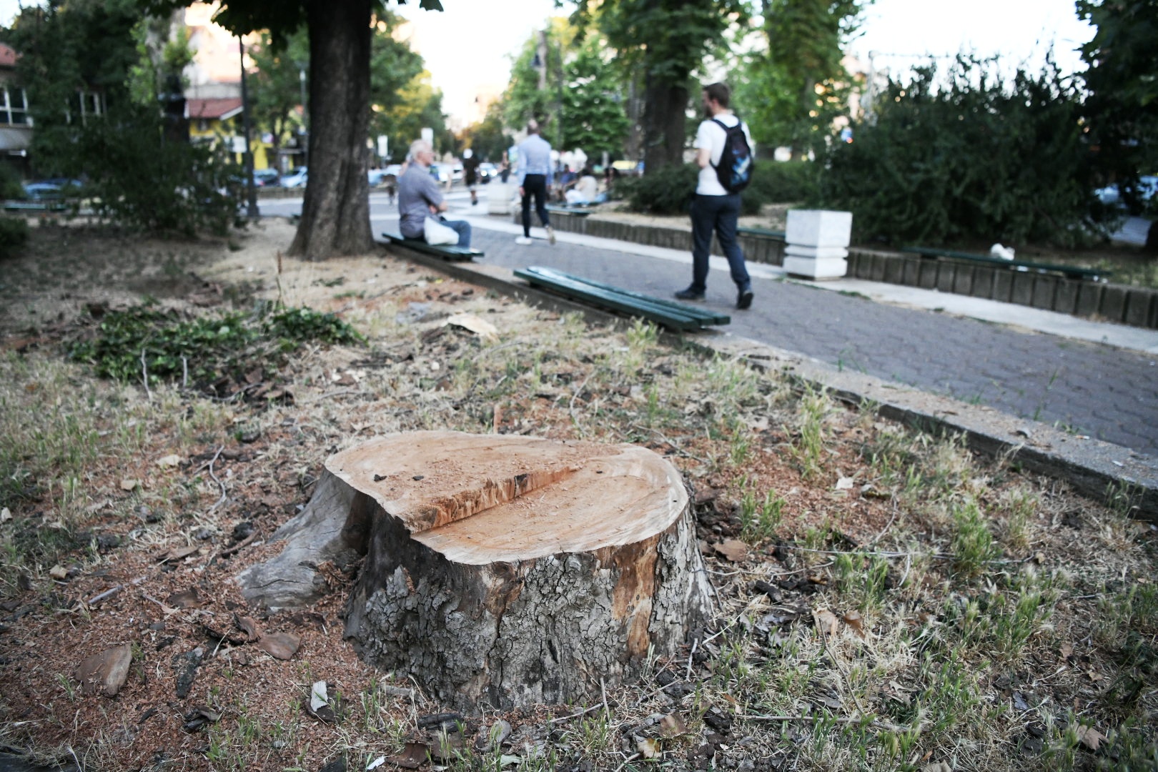 Park Vojvode Bojovica