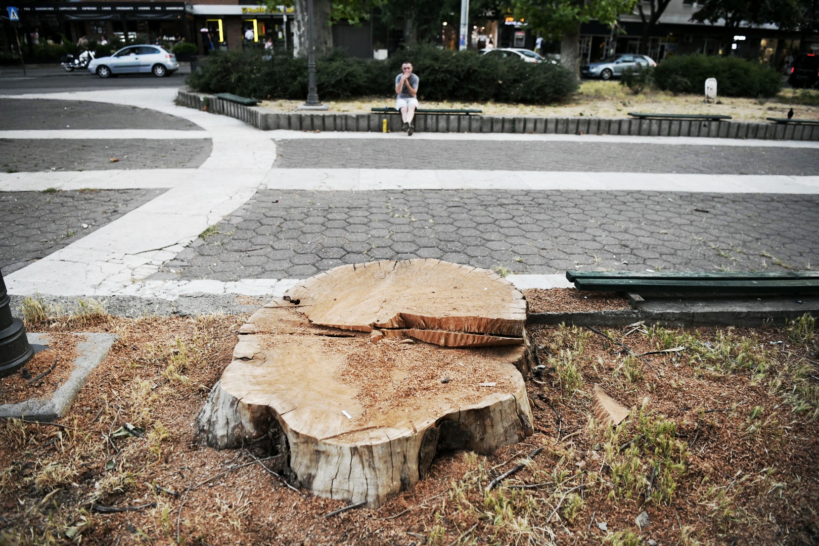 Park Vojvode Bojovica