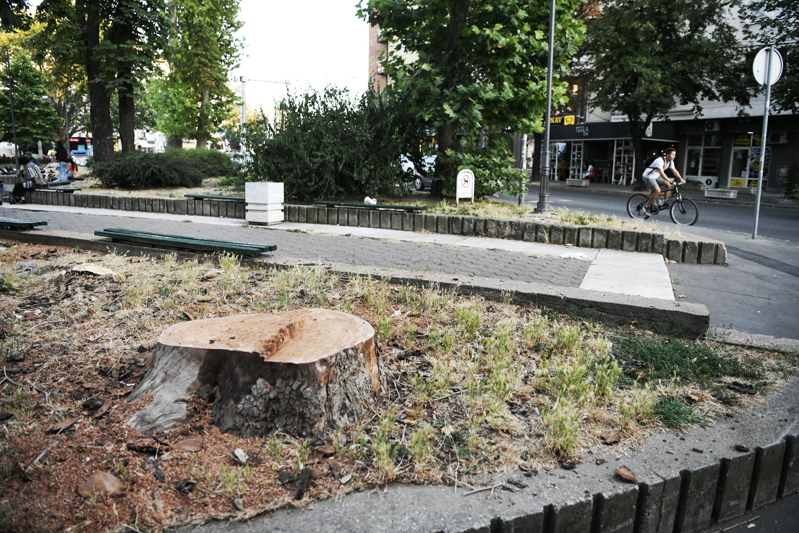 Park Vojvode Bojovica