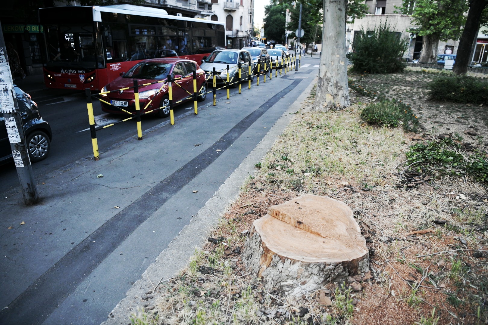 Park Vojvode Bojovica