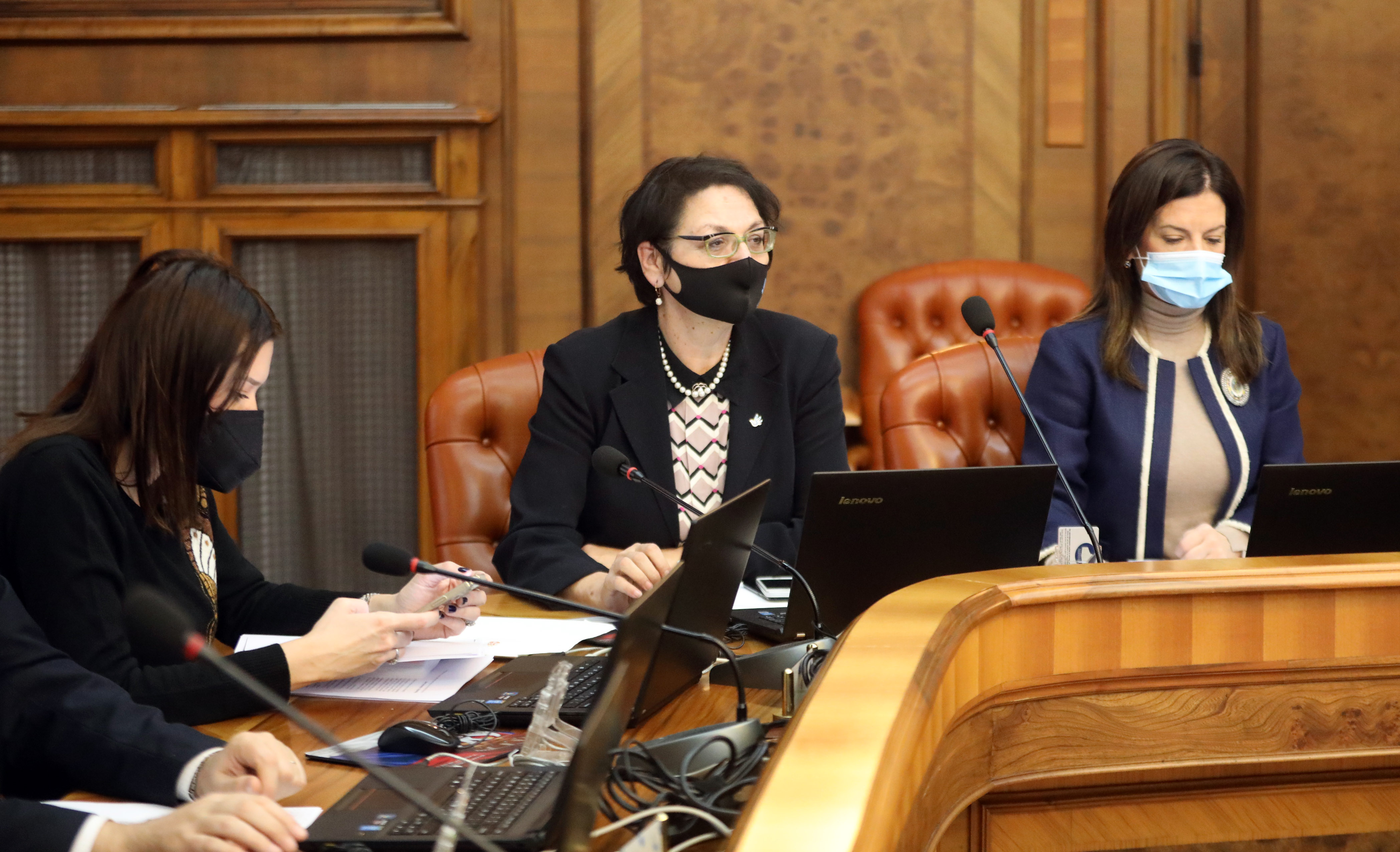 IRENA VUJOVIC, GORDANA COMIC, MARIJA OBRADOVIC