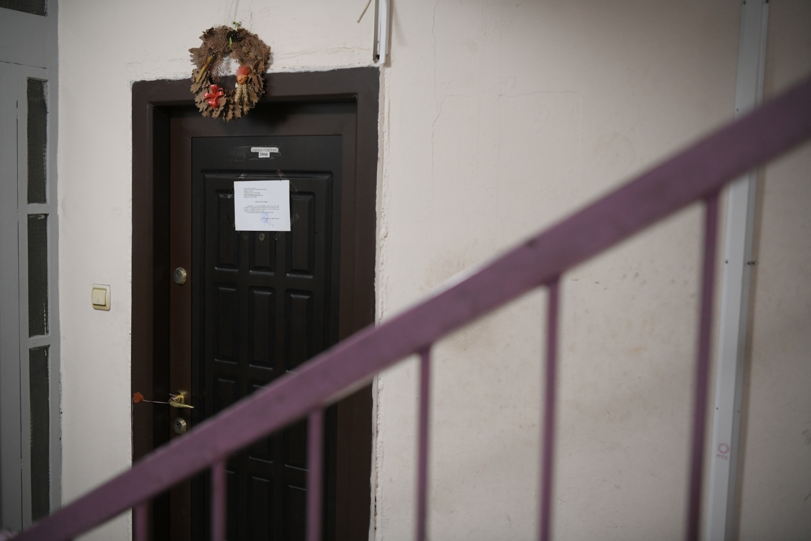 beograd 07.12.2021 brace jerkovic hronika ubijena majka i dete