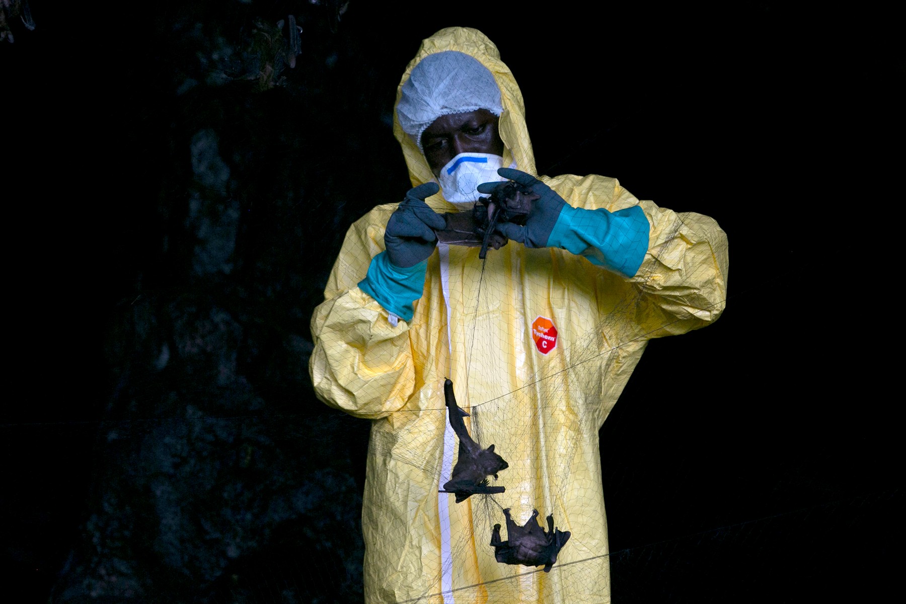 Kongo, ebola, virus, profimedia-0576365020