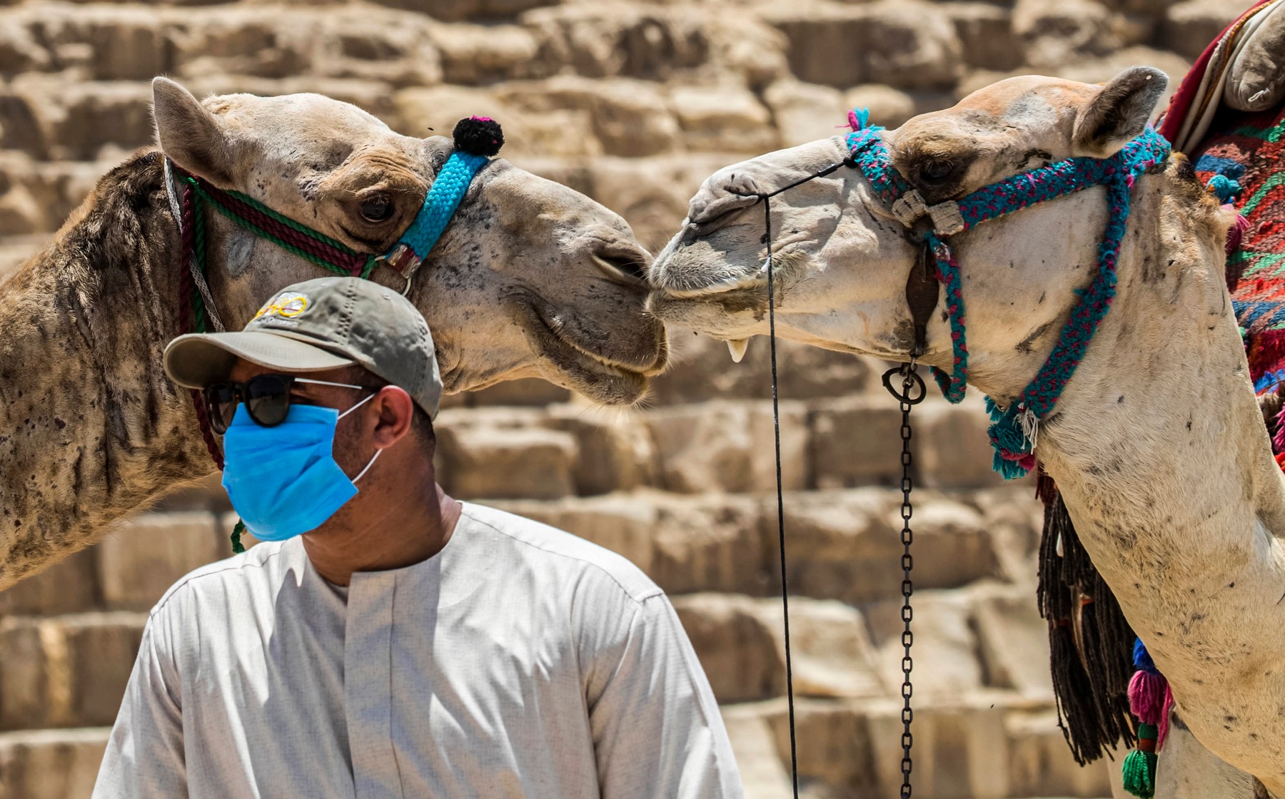 profimedia-0538126138