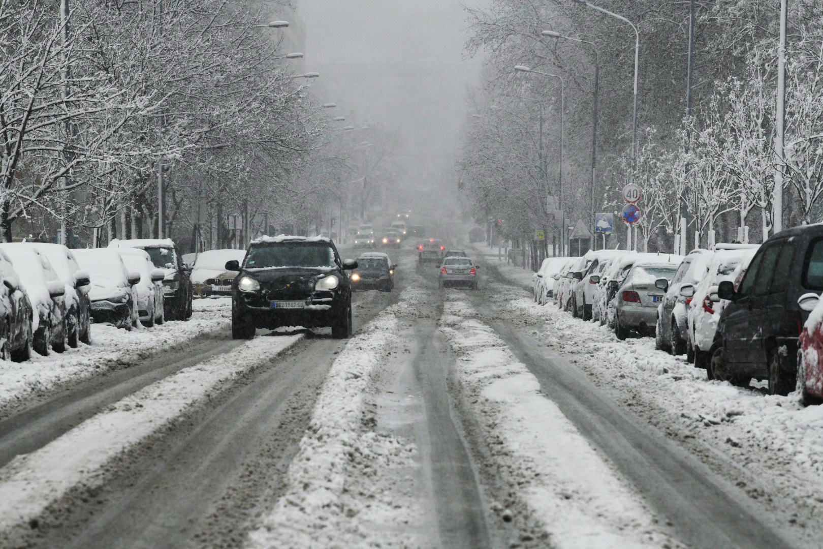 sneg beograd foto vesna lalić nova.rs
