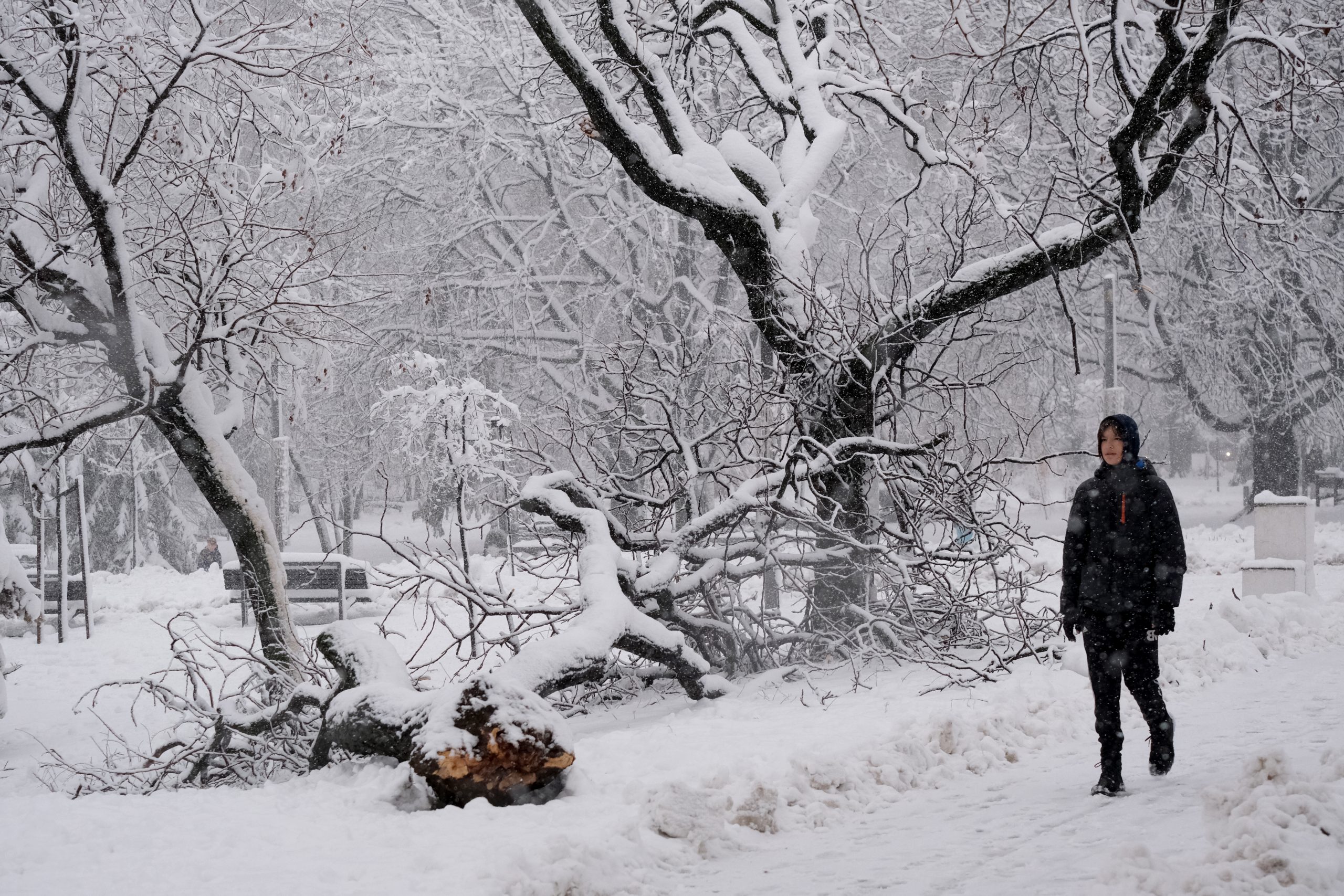 Beograd 12. decembar 2021. Sneg u Beogradu, vreme, zima, vremenska prognoza Foto:Vladislav Mitić/Nova.rs