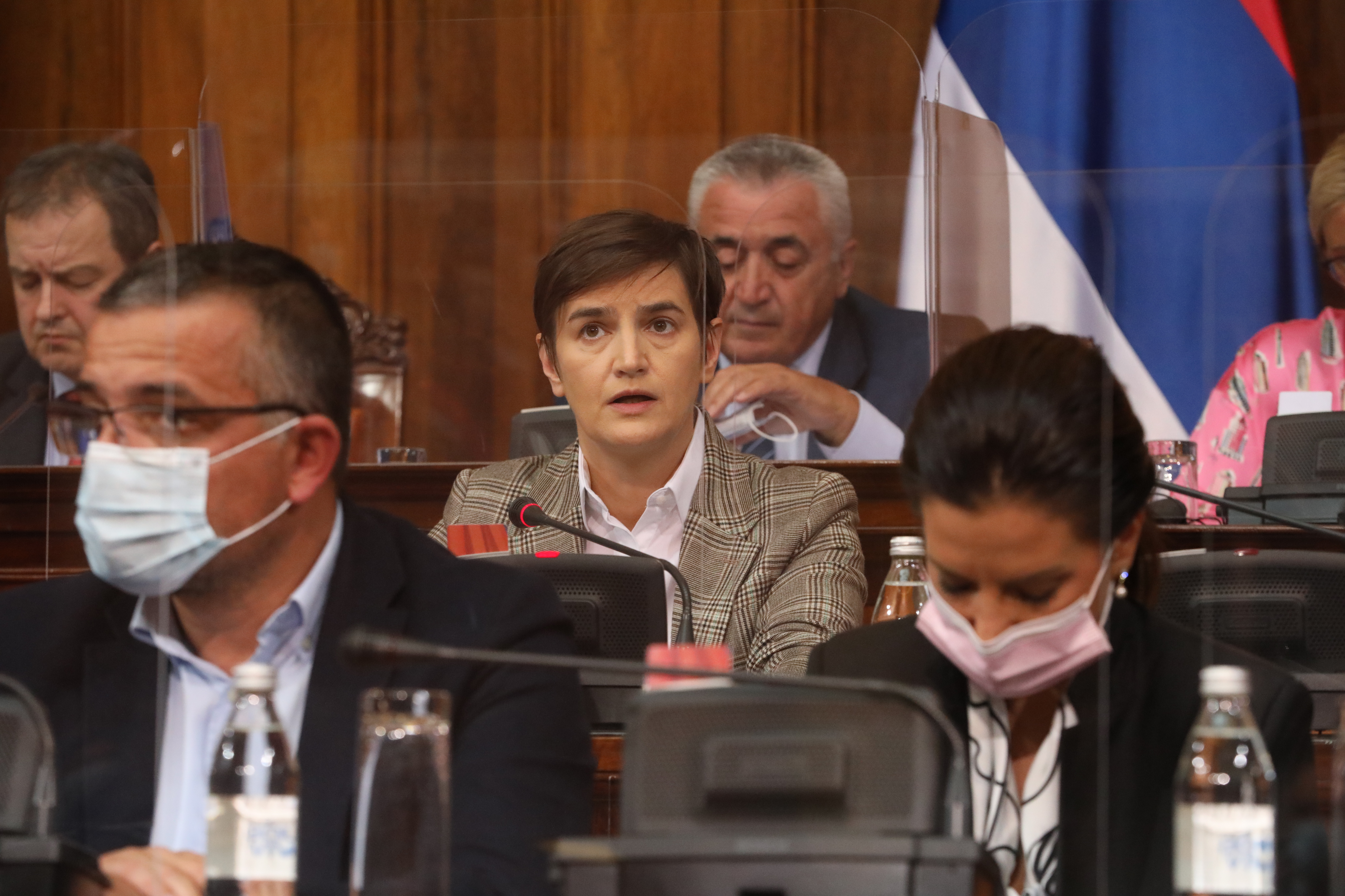 ANA BRNABIC