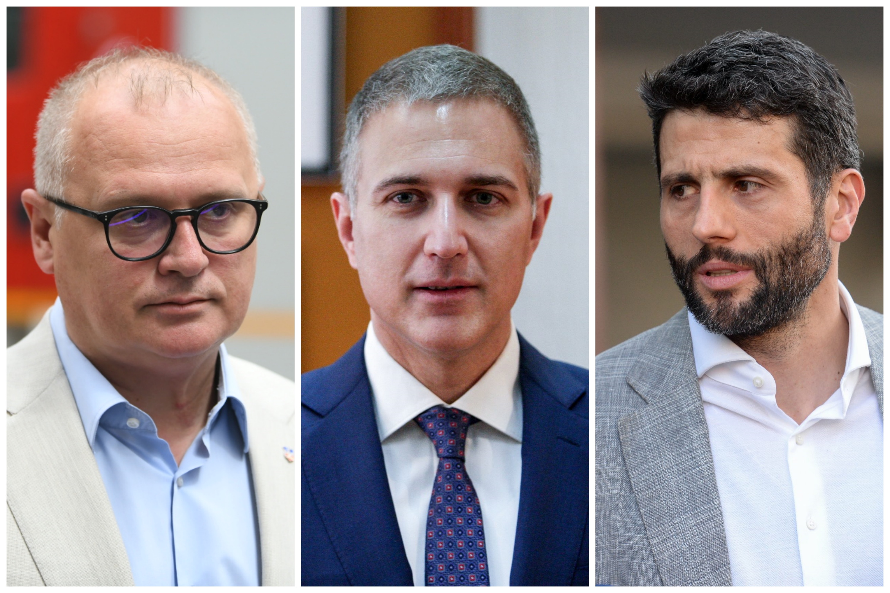 stefanovic sapic vesic