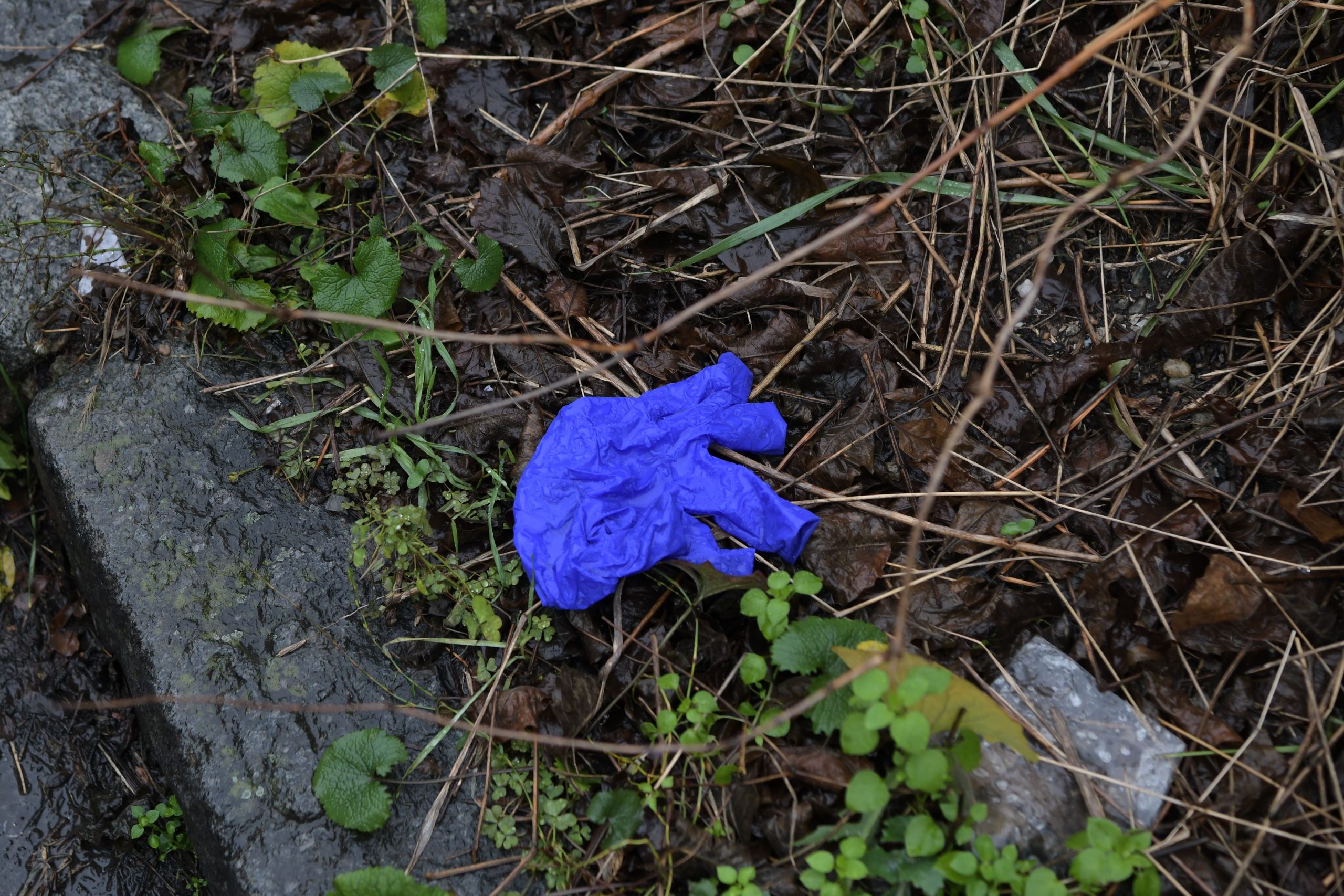 Beograd 29. decembar 2021. Karaburma hronika upucavanje mladica Foto:Goran Srdanov/Nova.rs