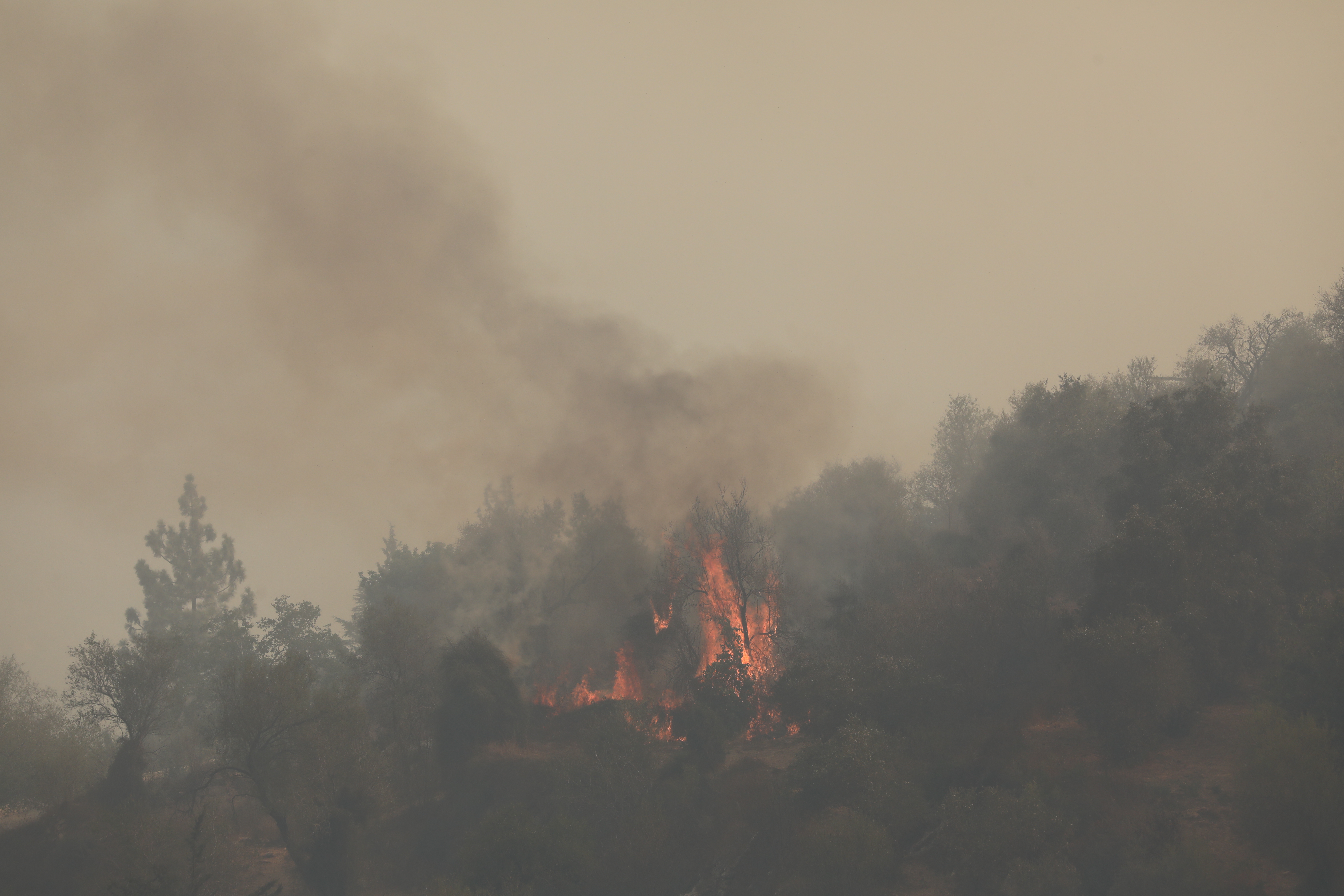 Wildfire in Jerusalem hills Izrael pozar
